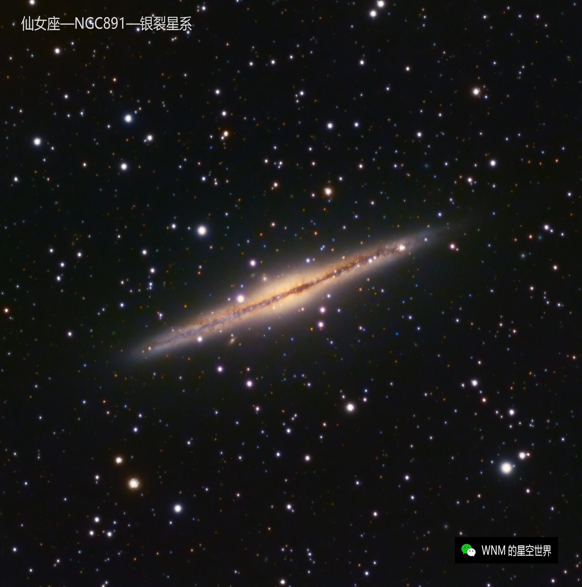 NGC891_银裂星系v2