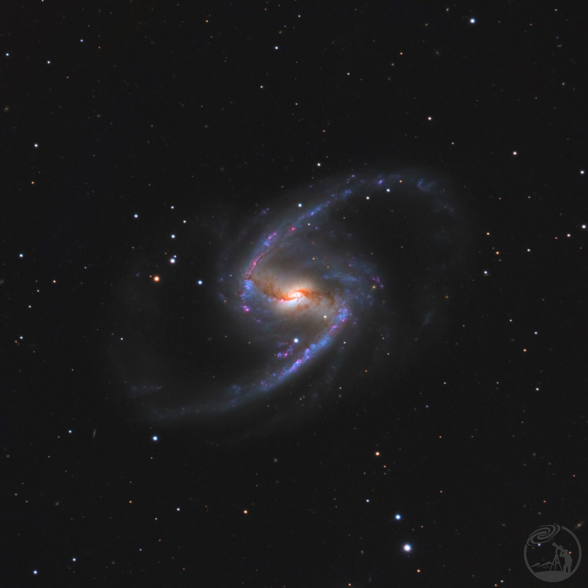 NGC1365