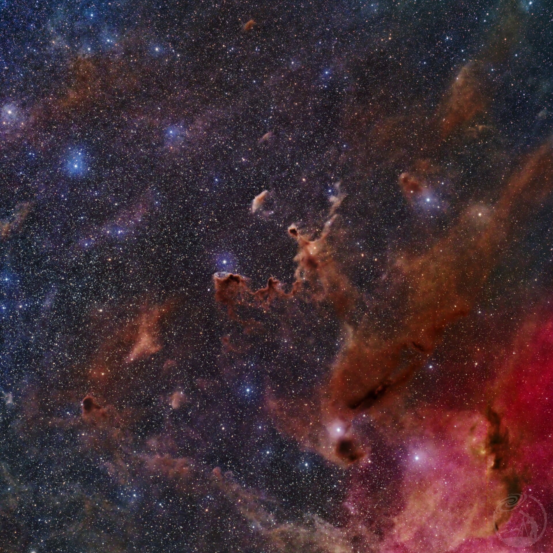 暗星云LDN146