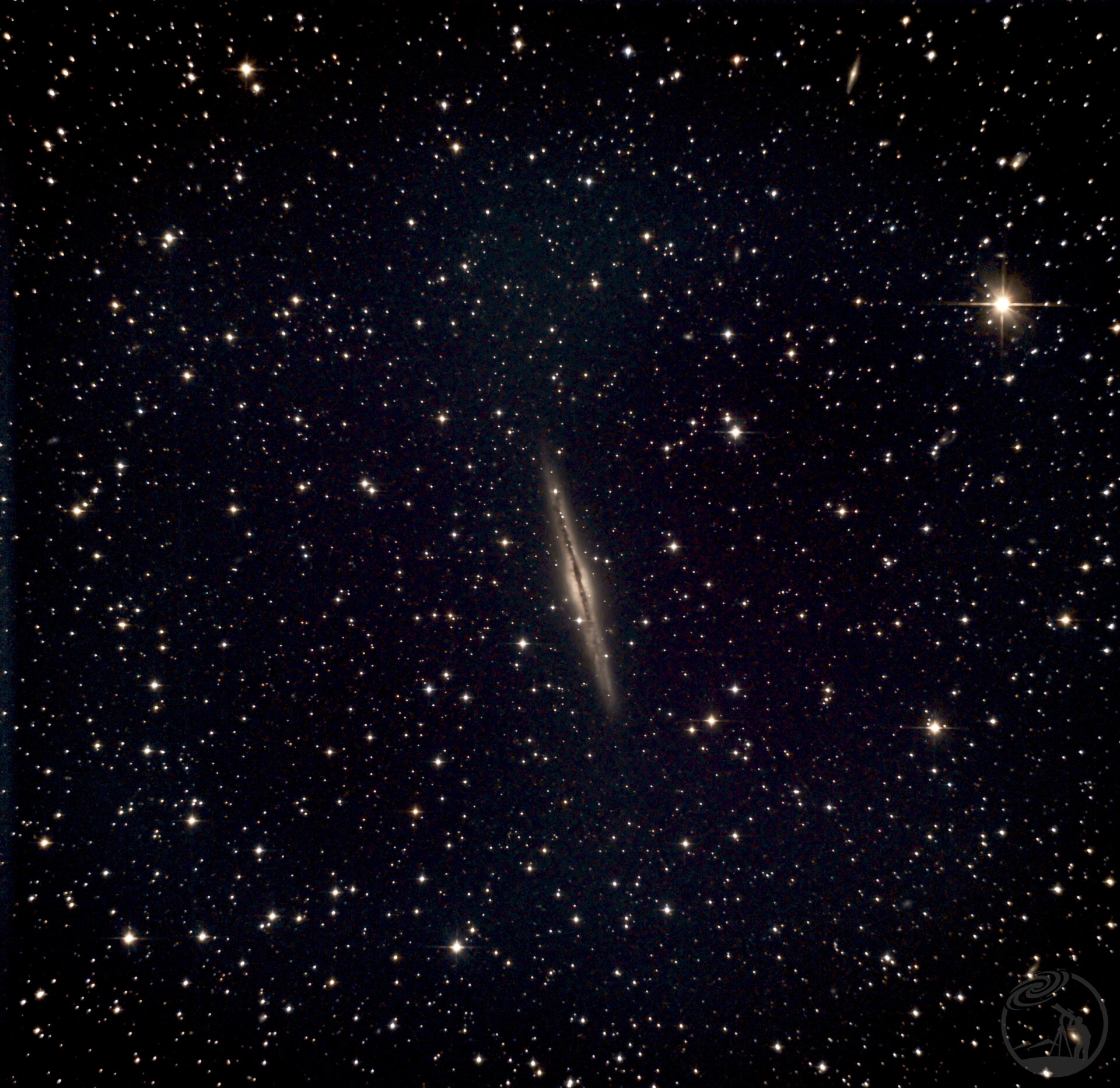 ngc891