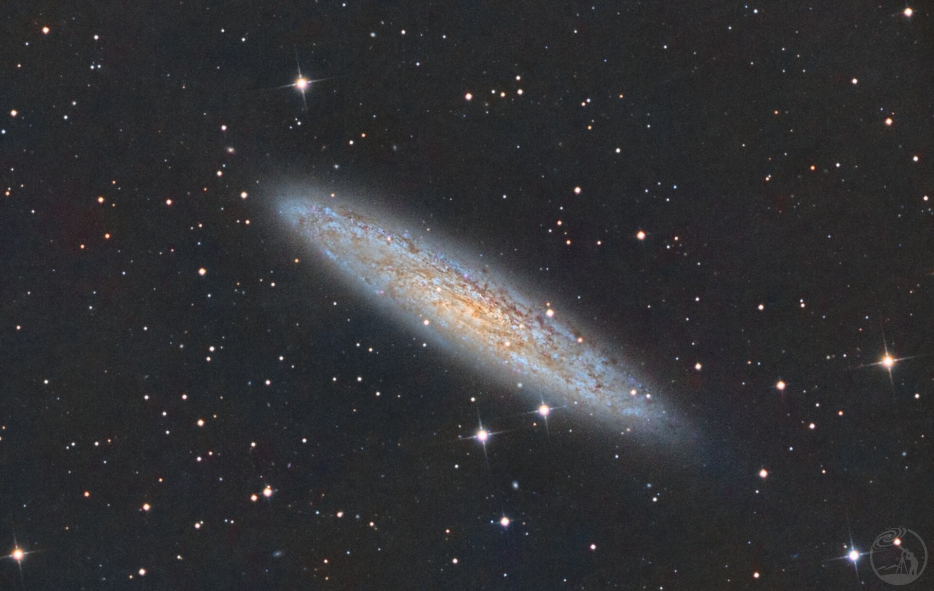 NGC253