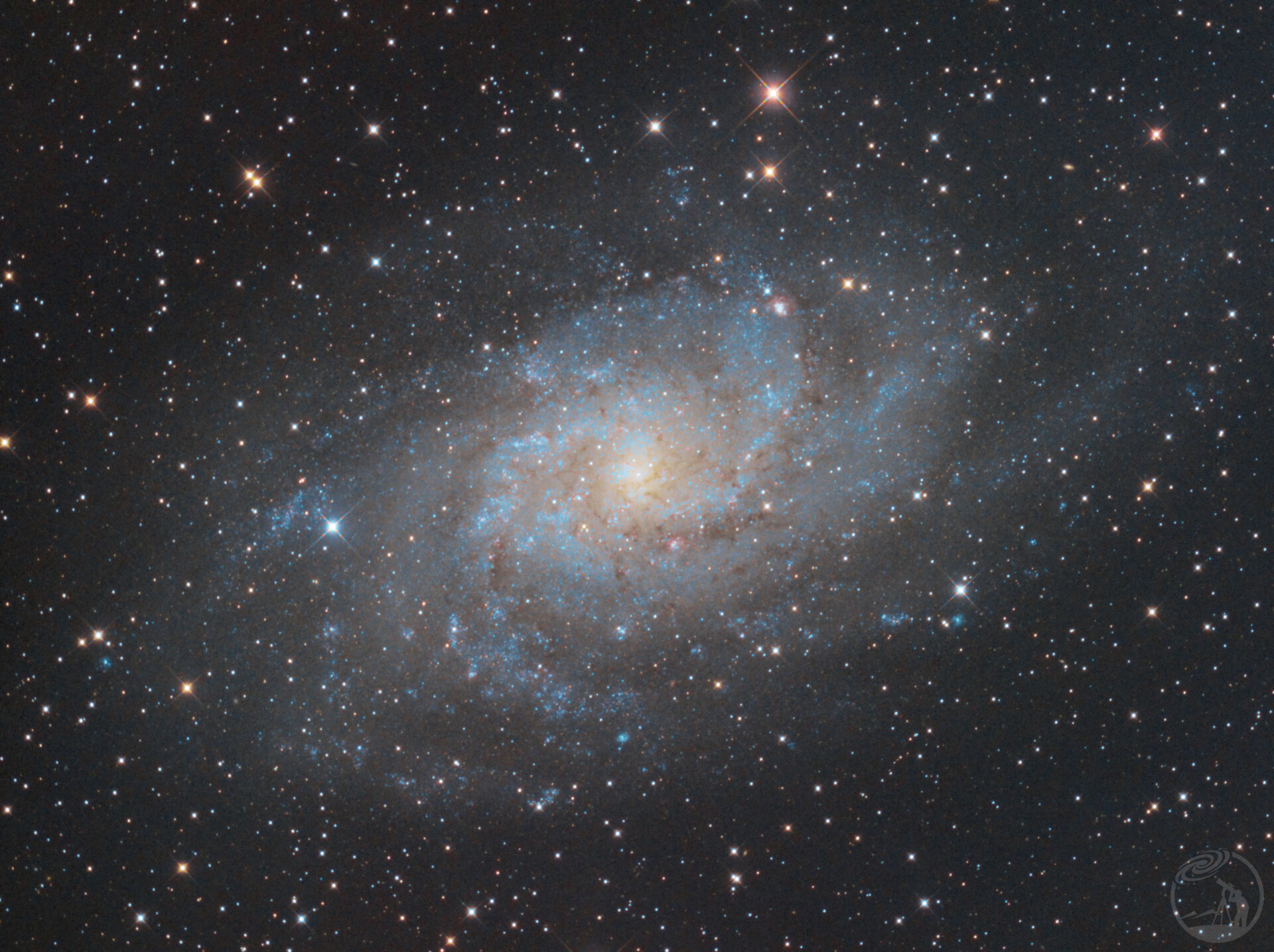 M33