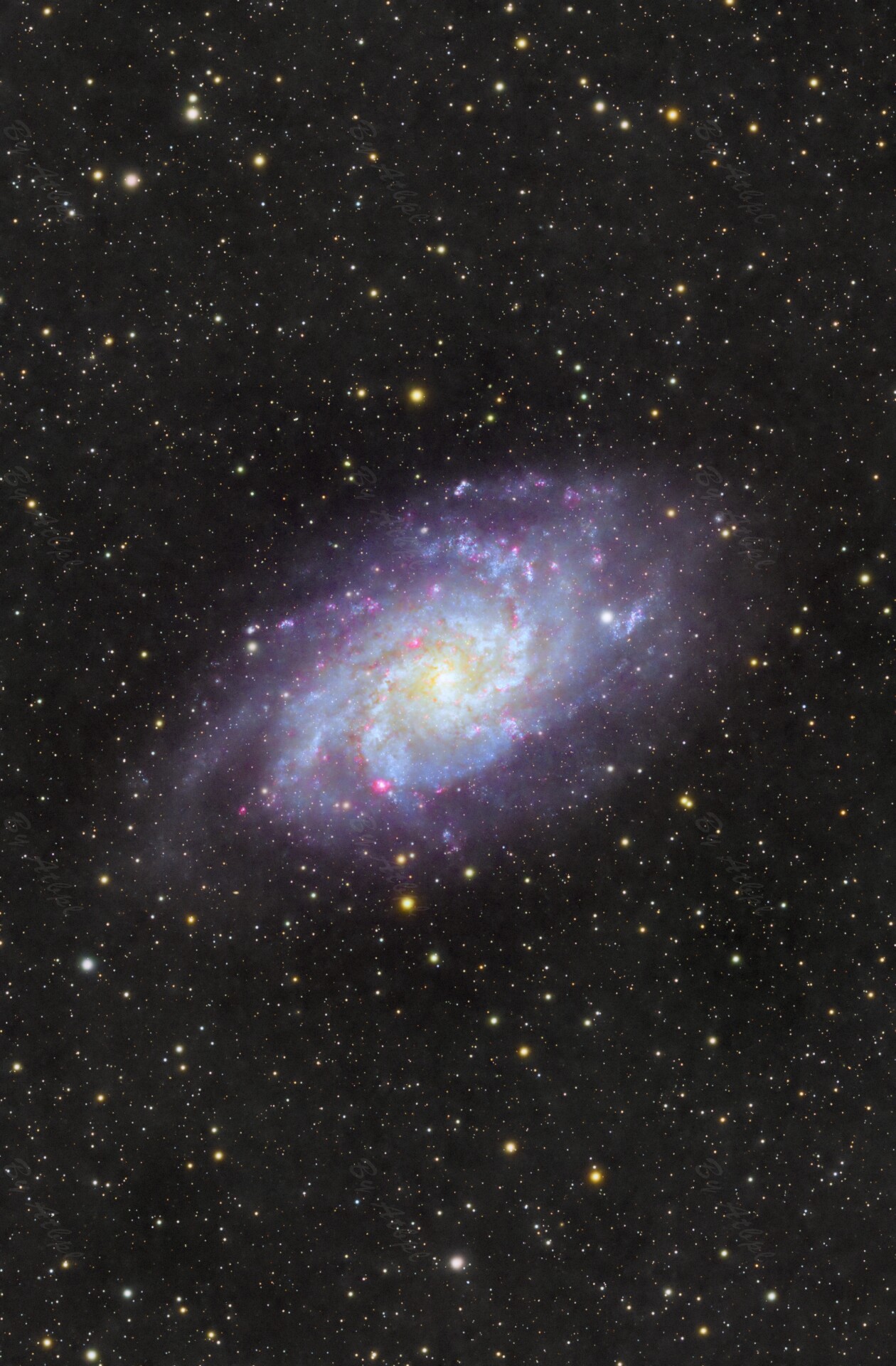 M33