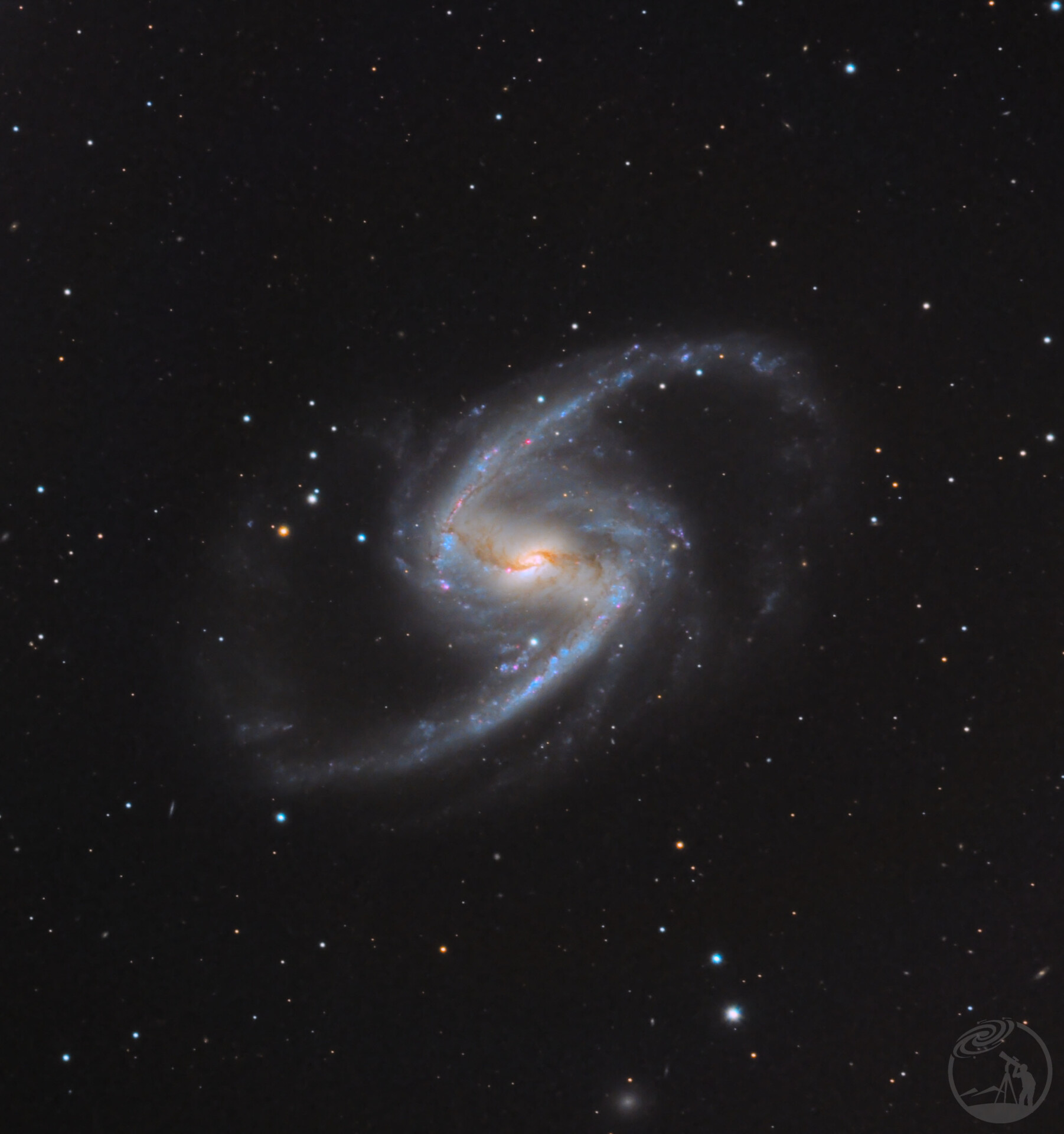 ngc1365
