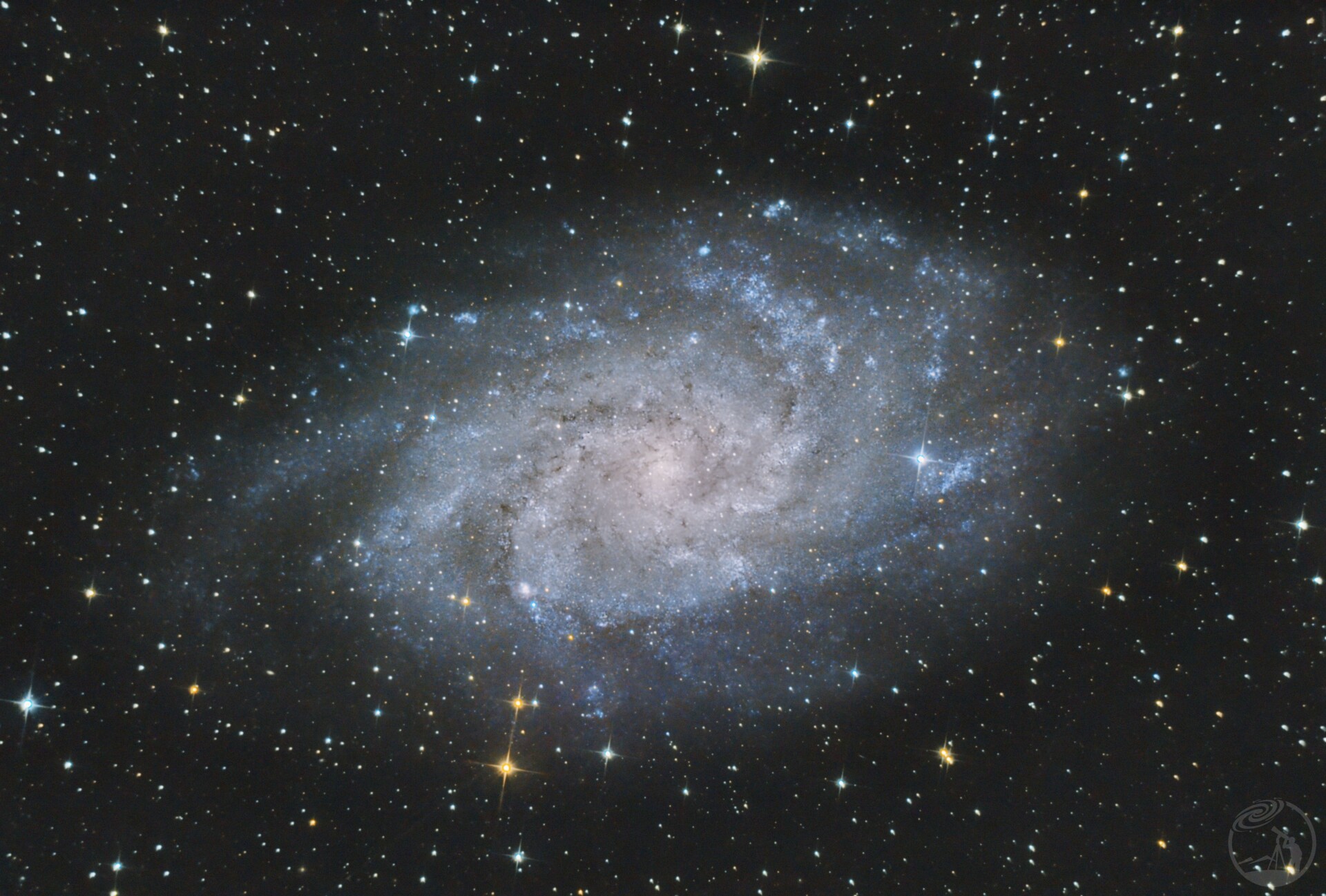 M33