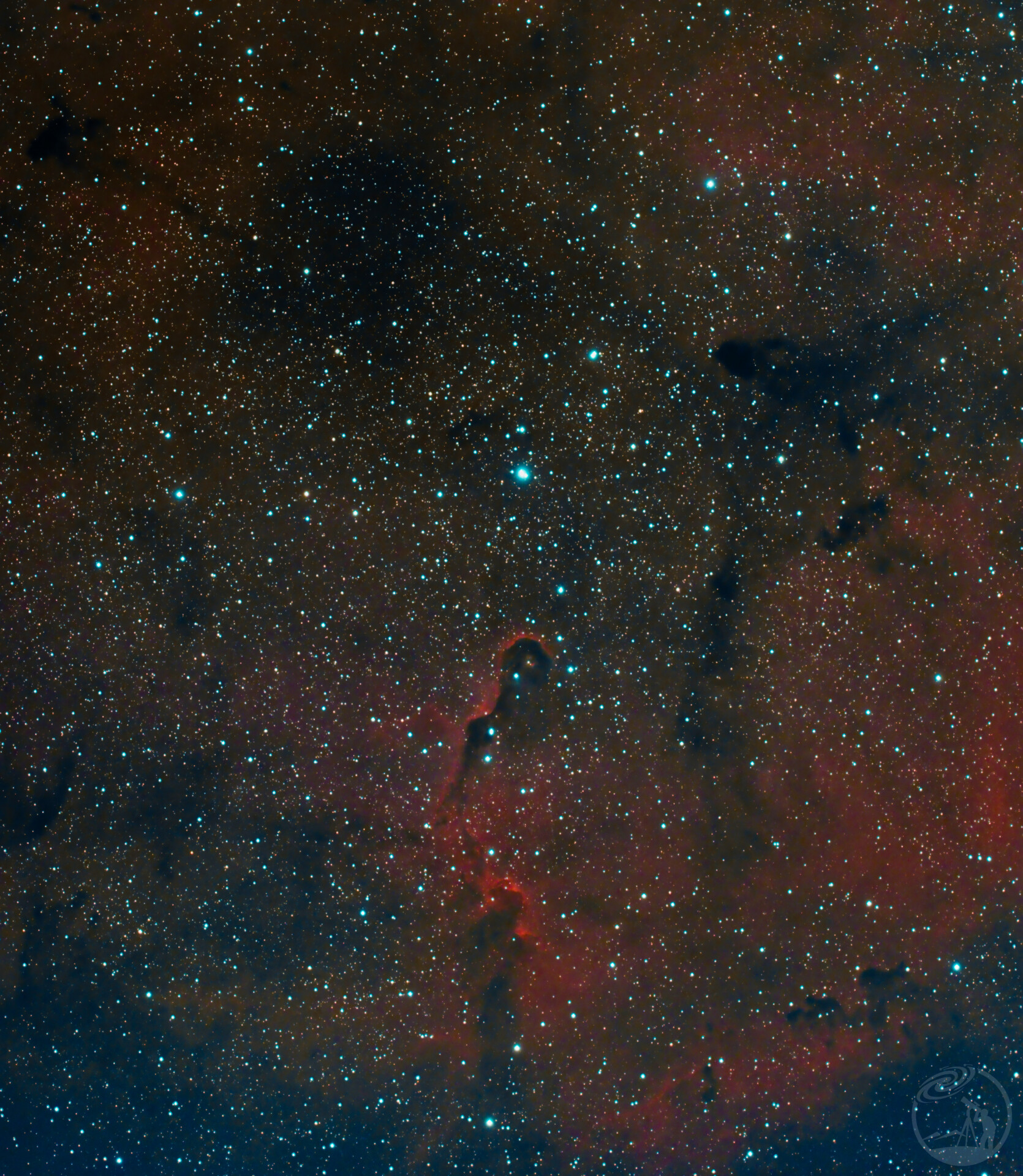 城市深空：IC1396 象鼻星云 