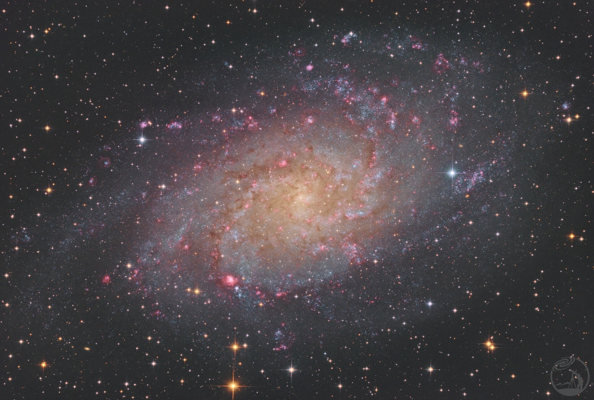 M33