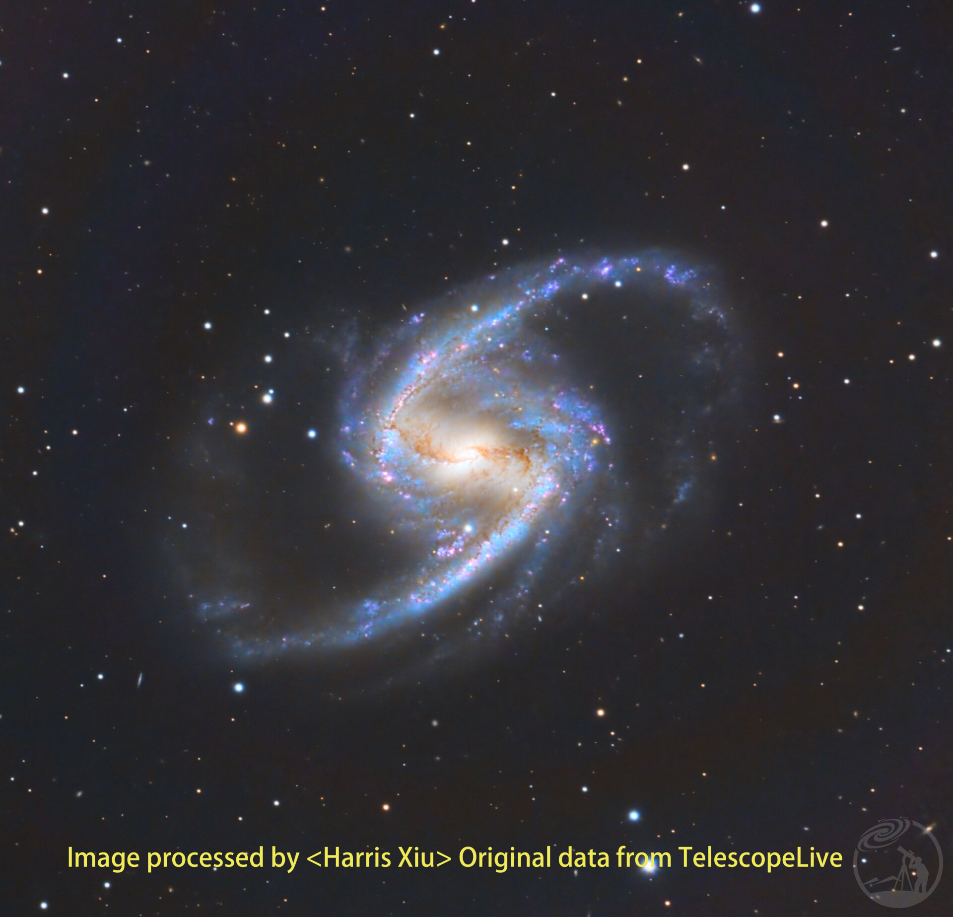 NGC 1365