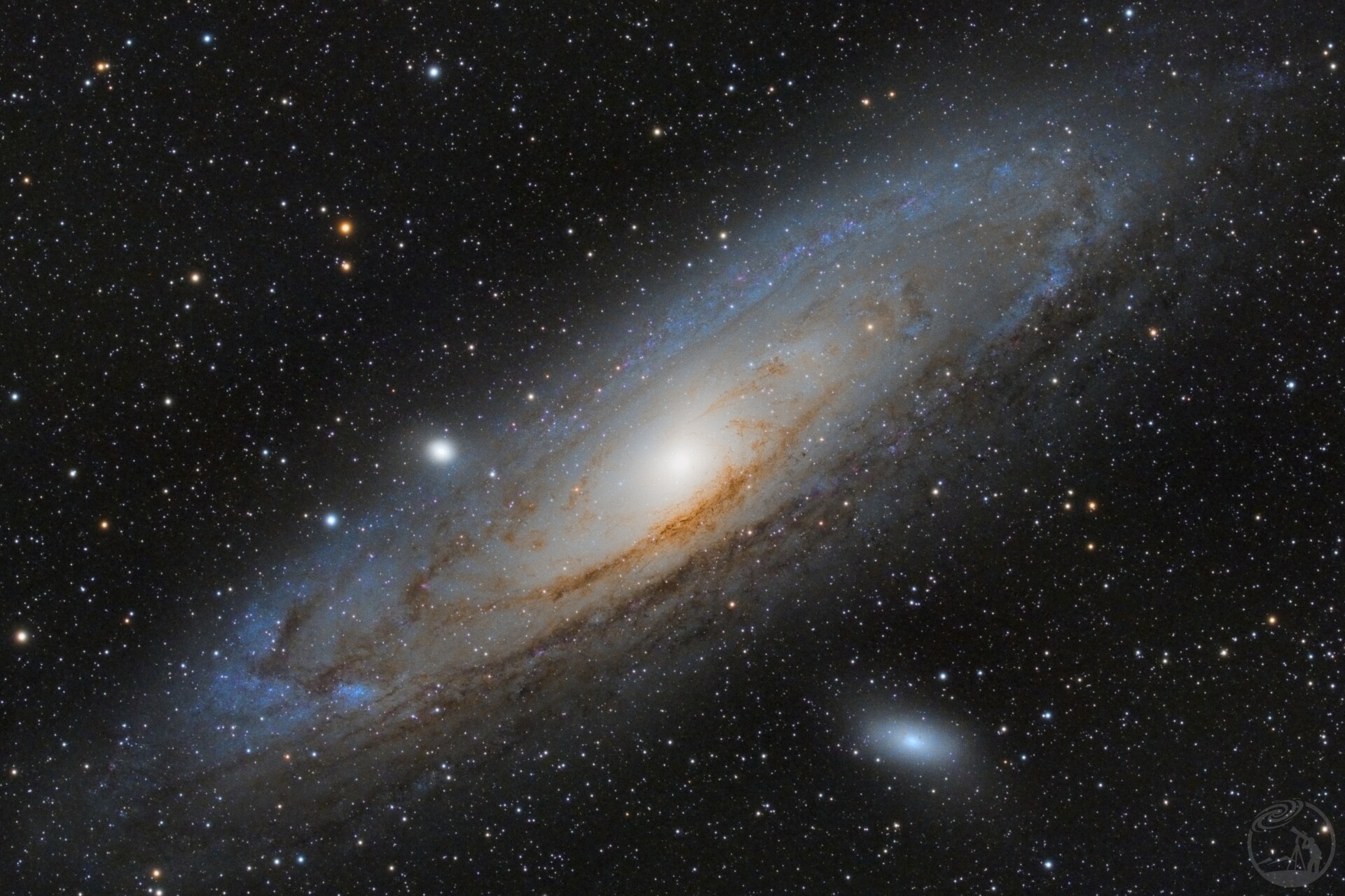 M31