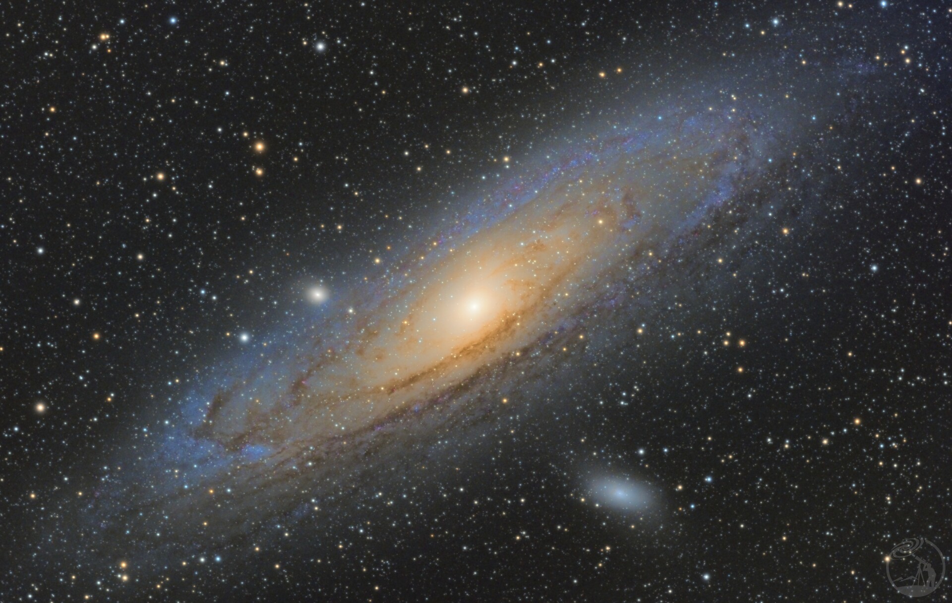 M31