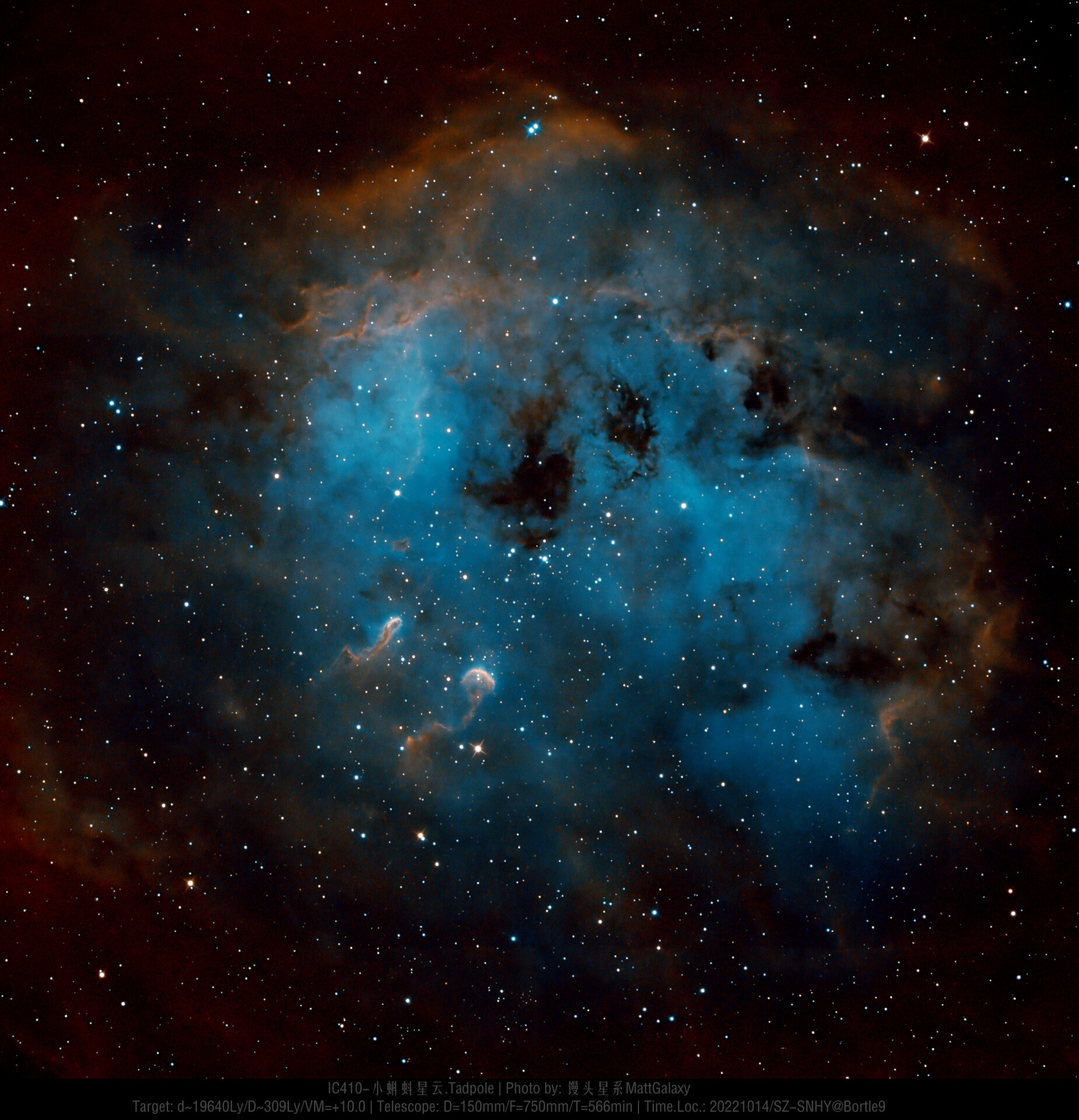 【九级深空行动】IC410-小蝌蚪星云.Tadpole