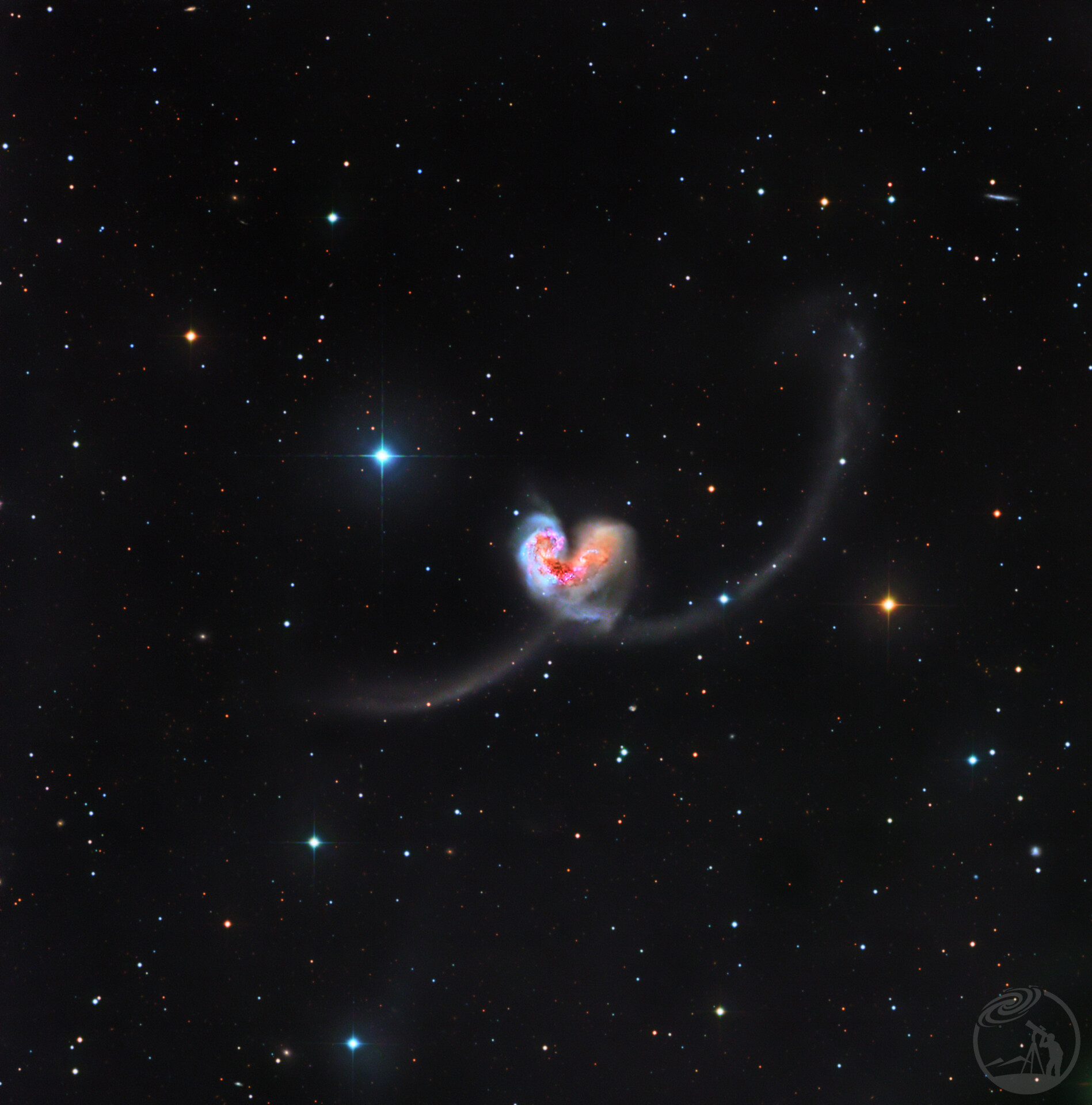 触须星系NGC4038