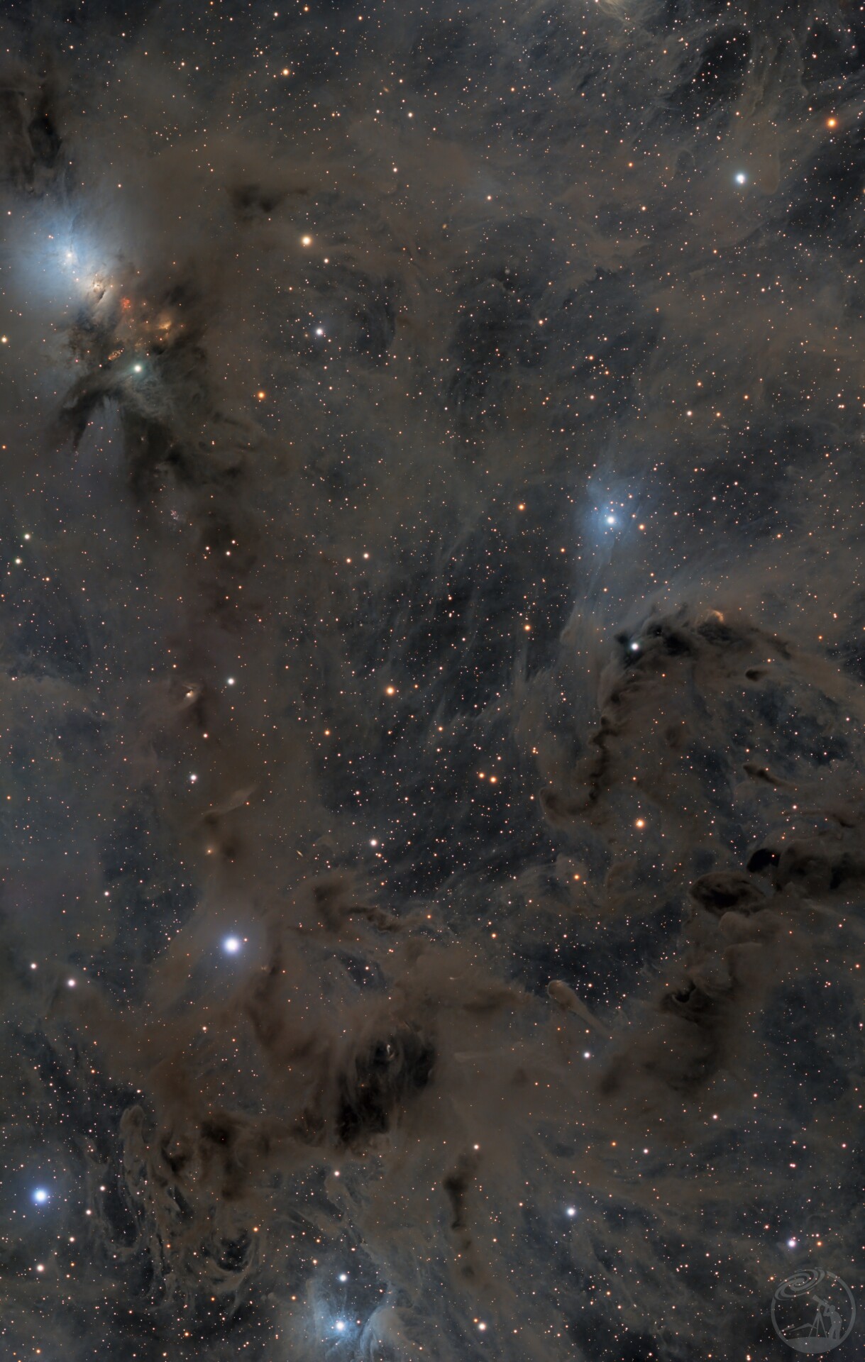 NGC1333