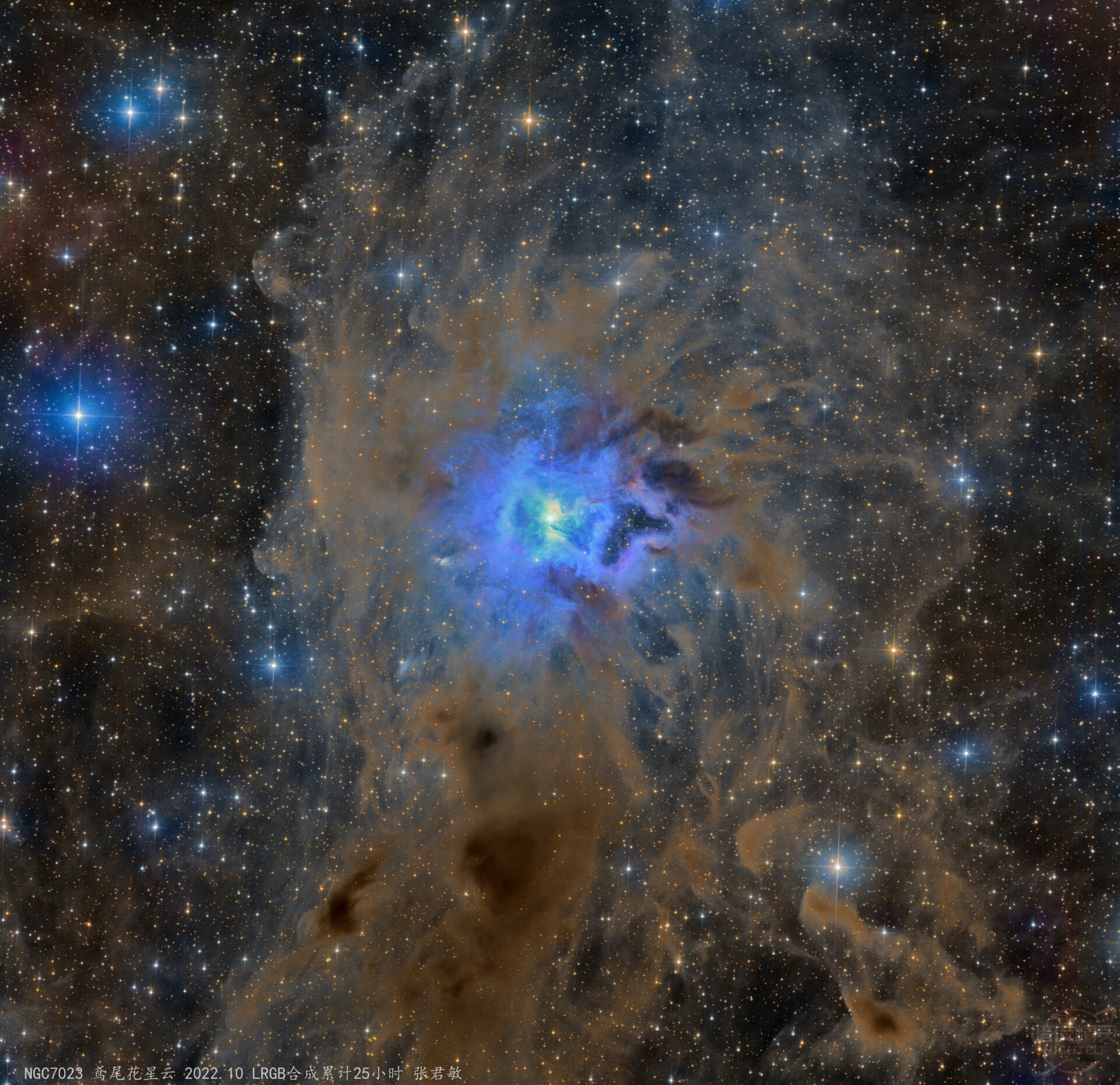 NGC7023 鸢尾花星云