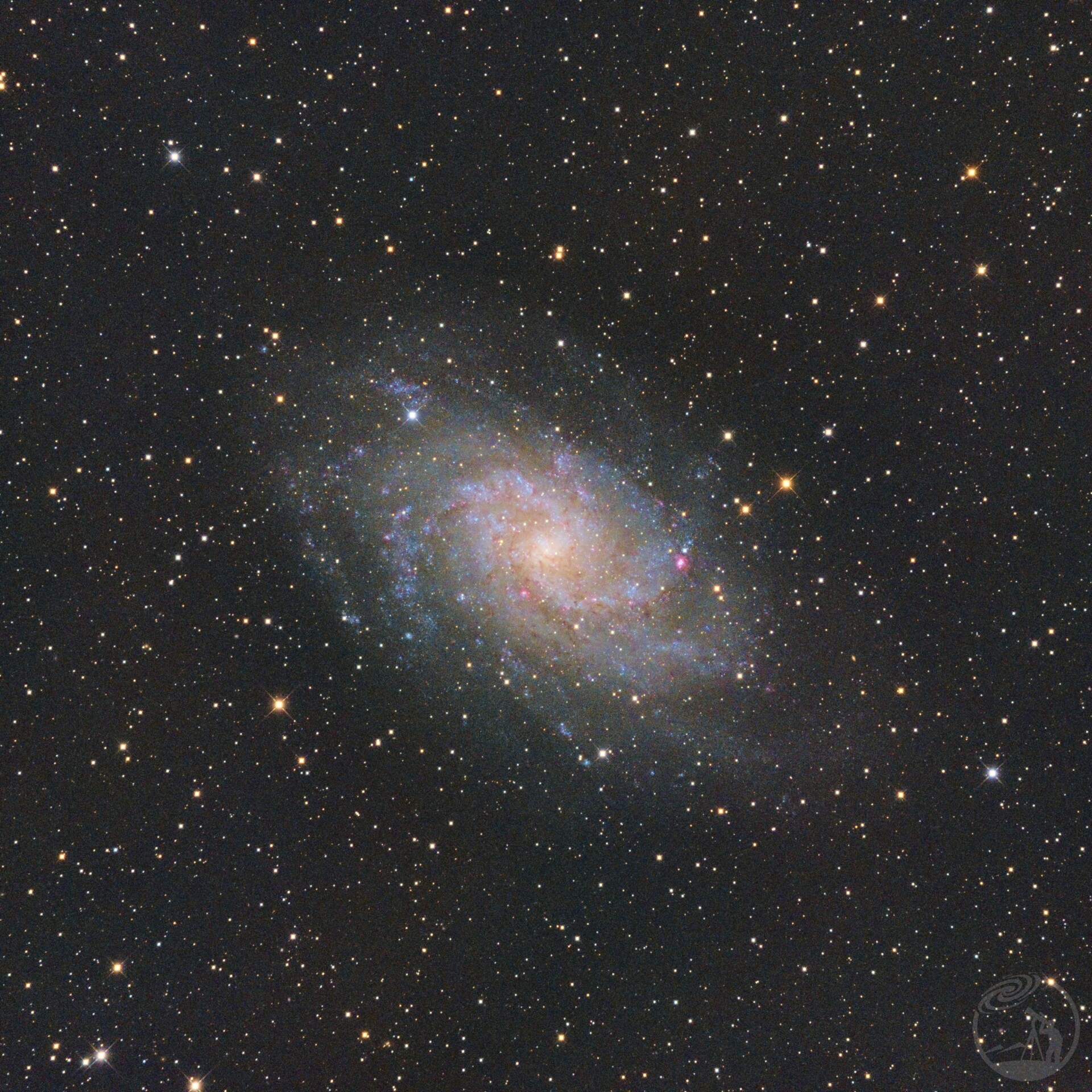 M33