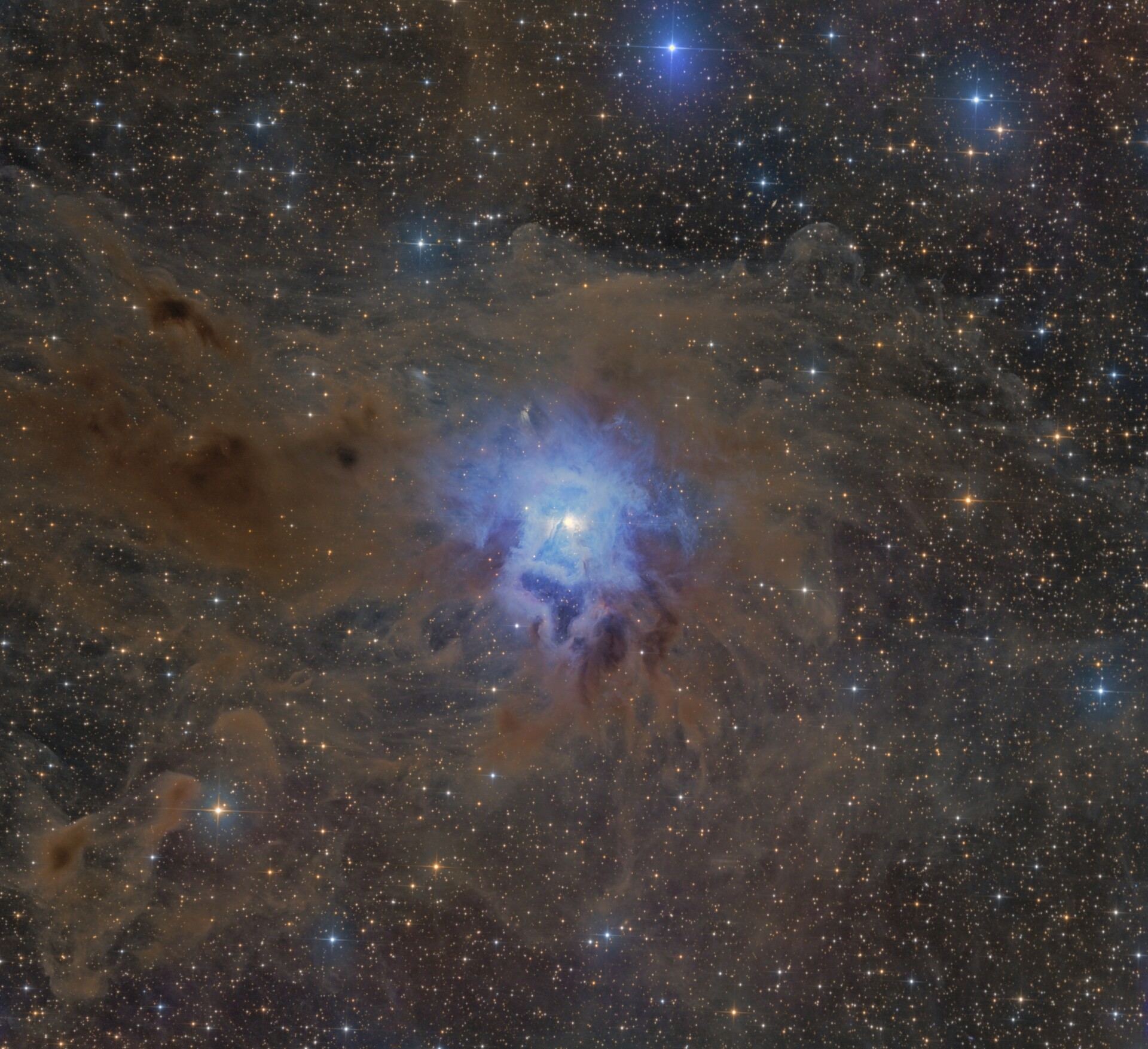 NGC7023鸢尾花