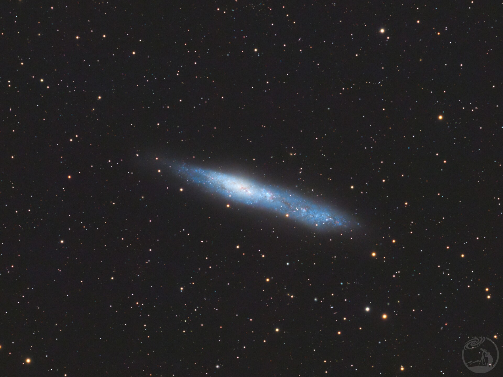 南鲸鱼NGC55