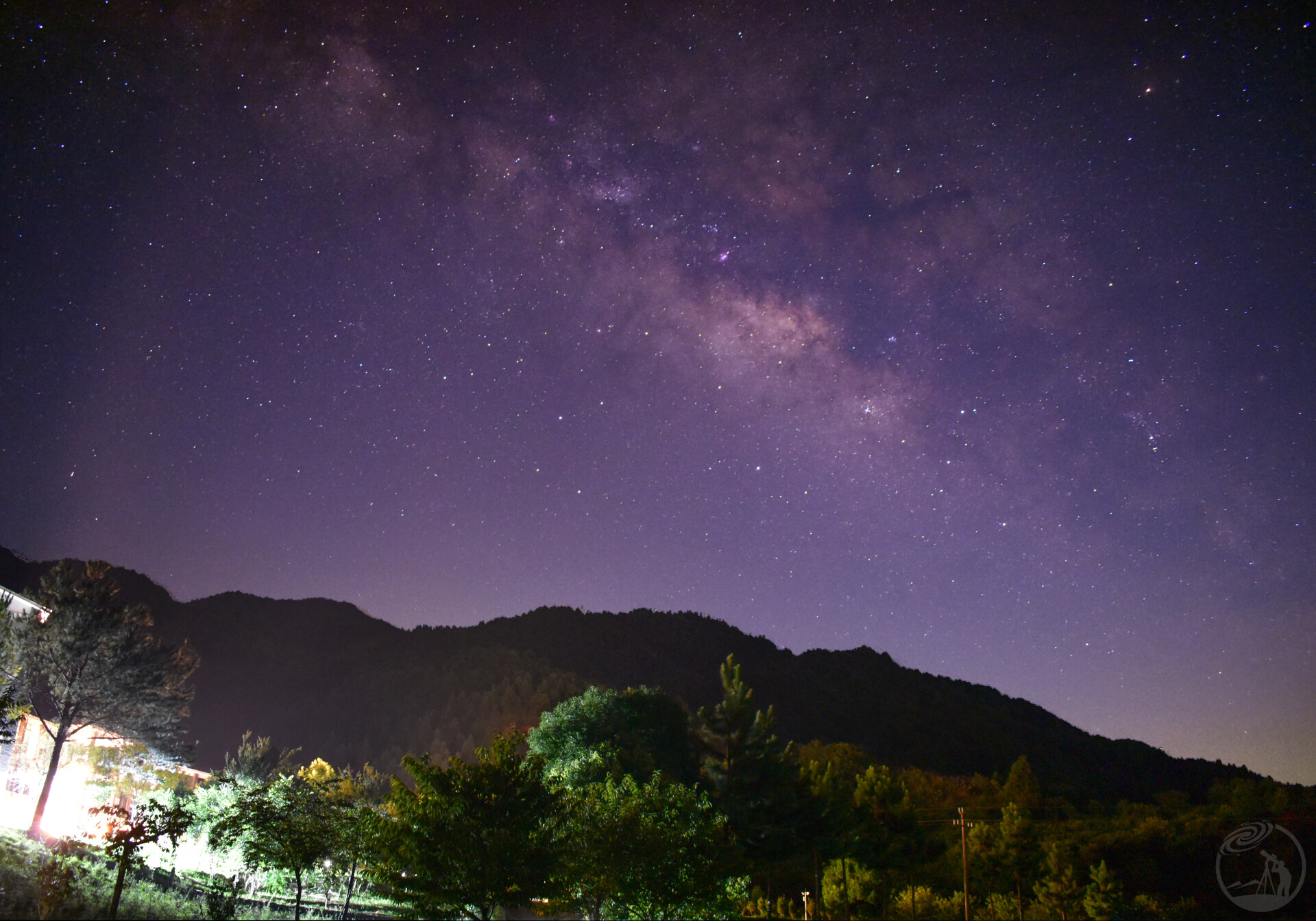 茶园与星空
