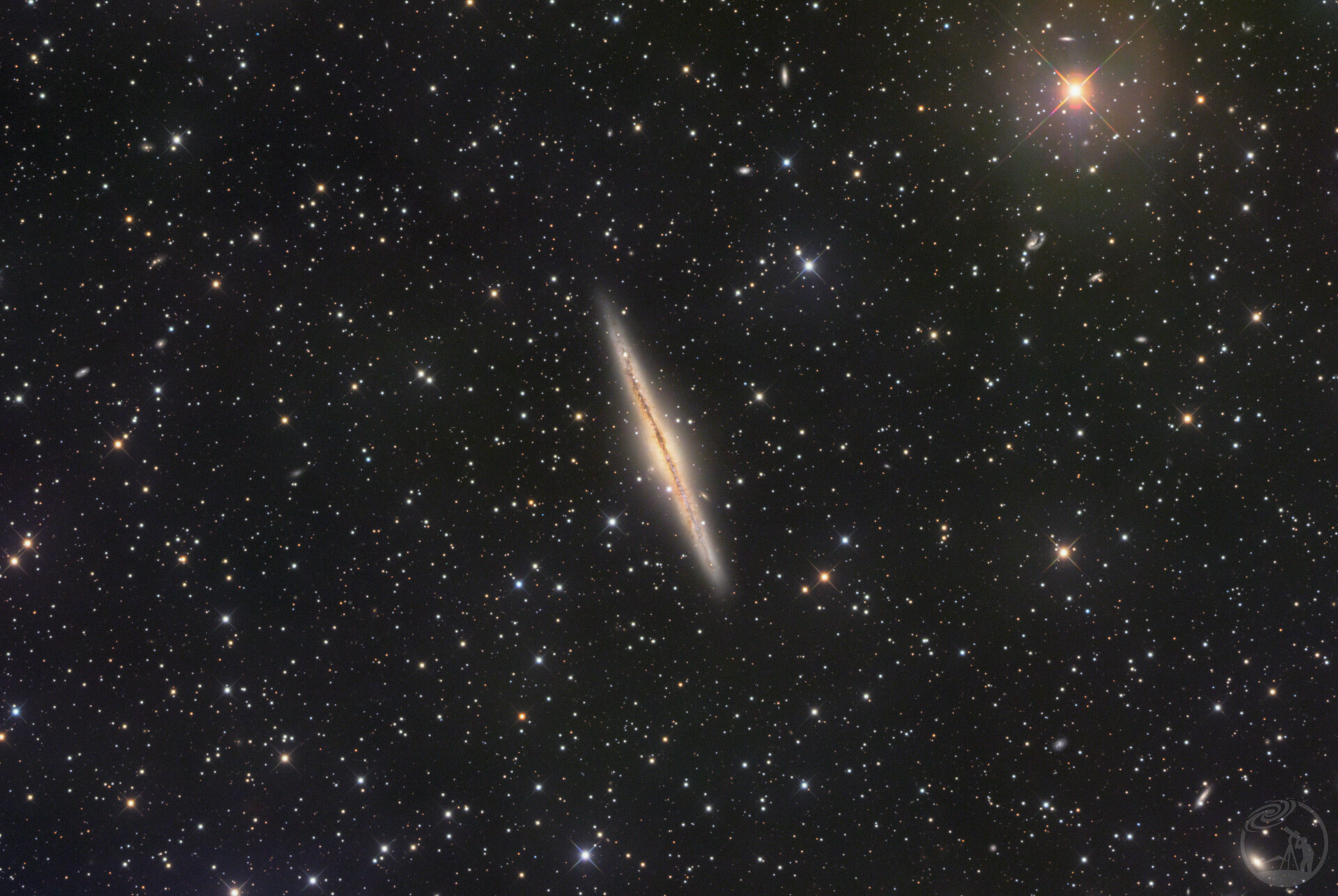 ngc891