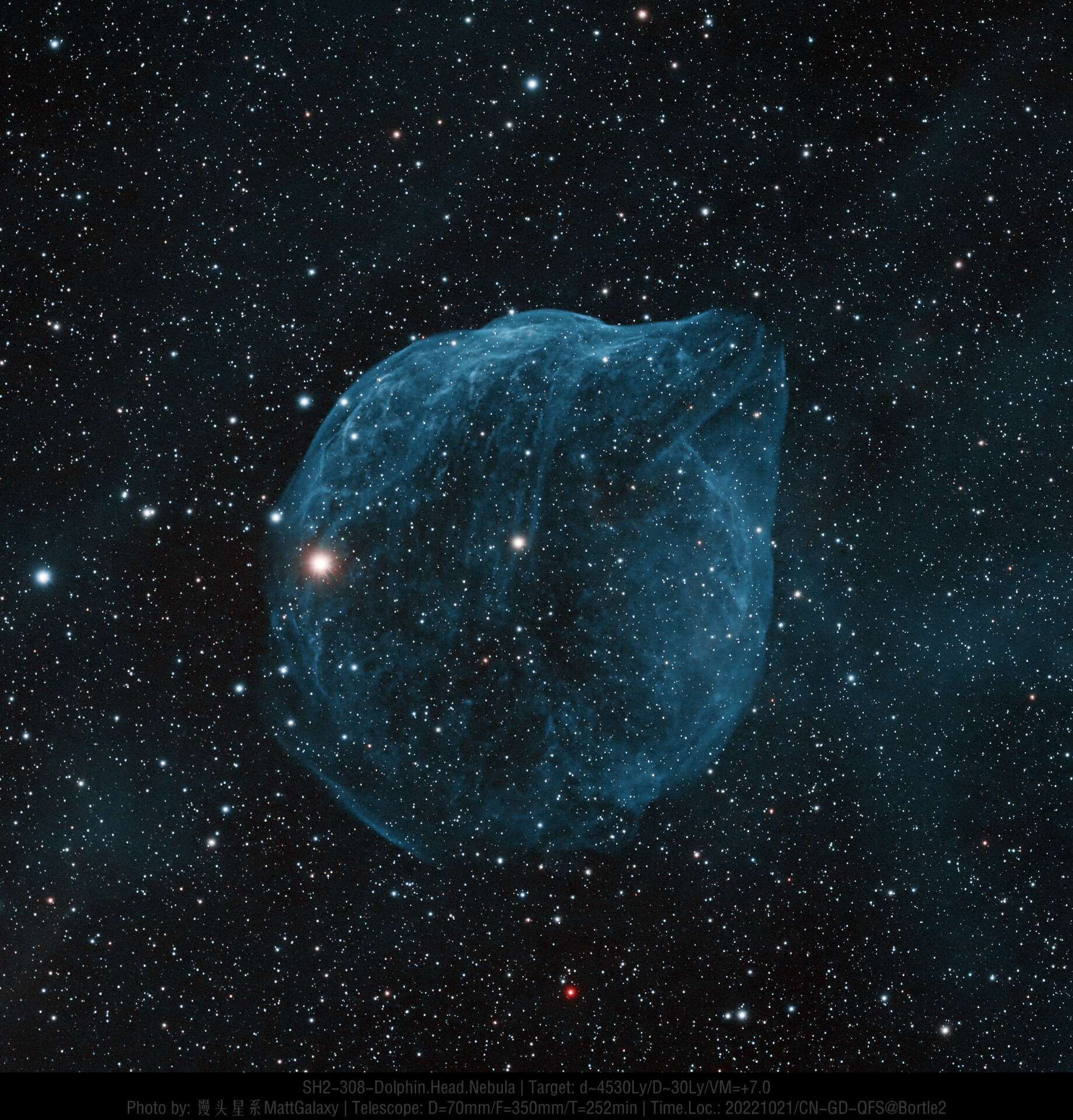SH2-308-海豚头星云 Dolphin.Head.Nebula