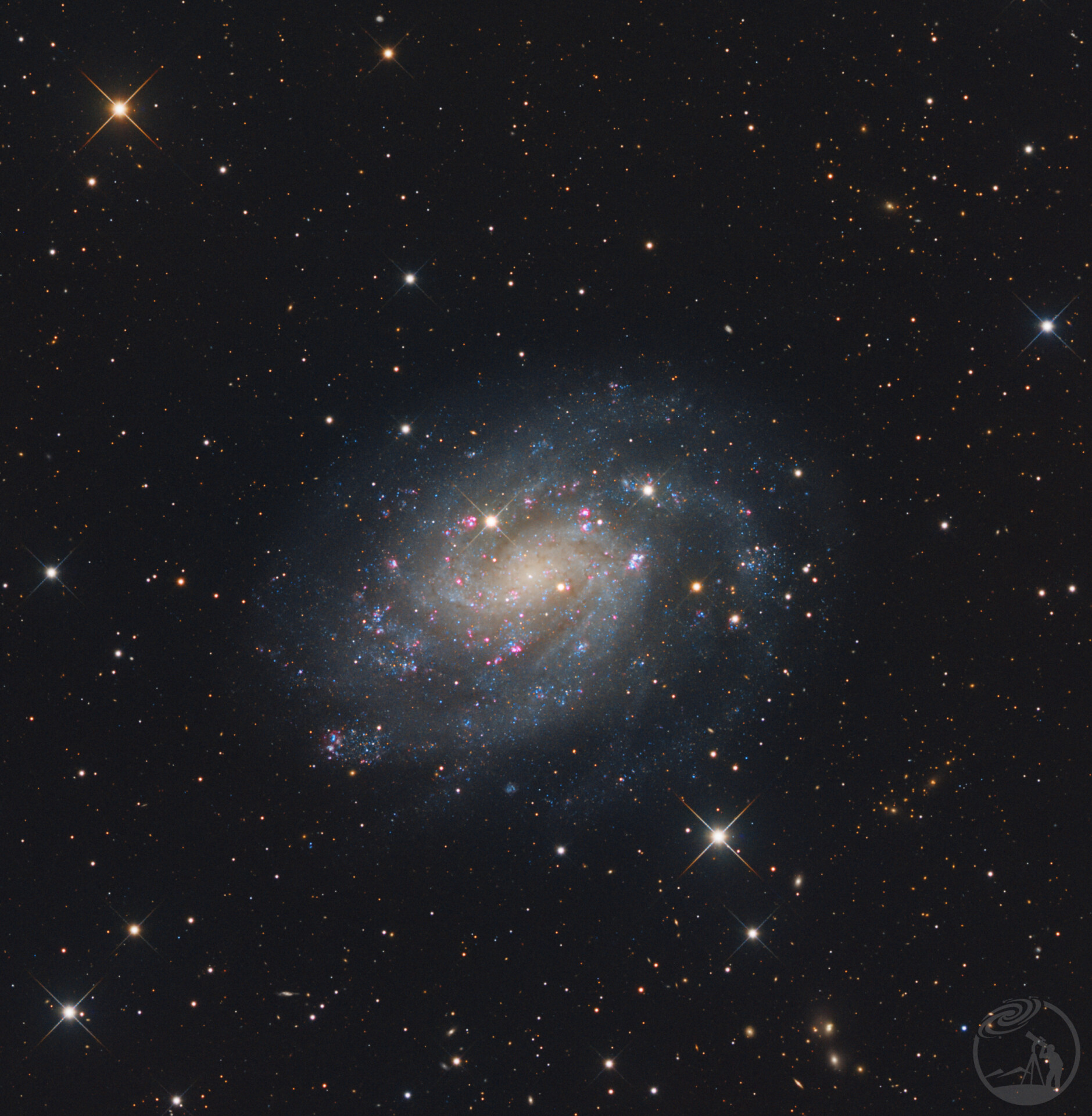 NGC300