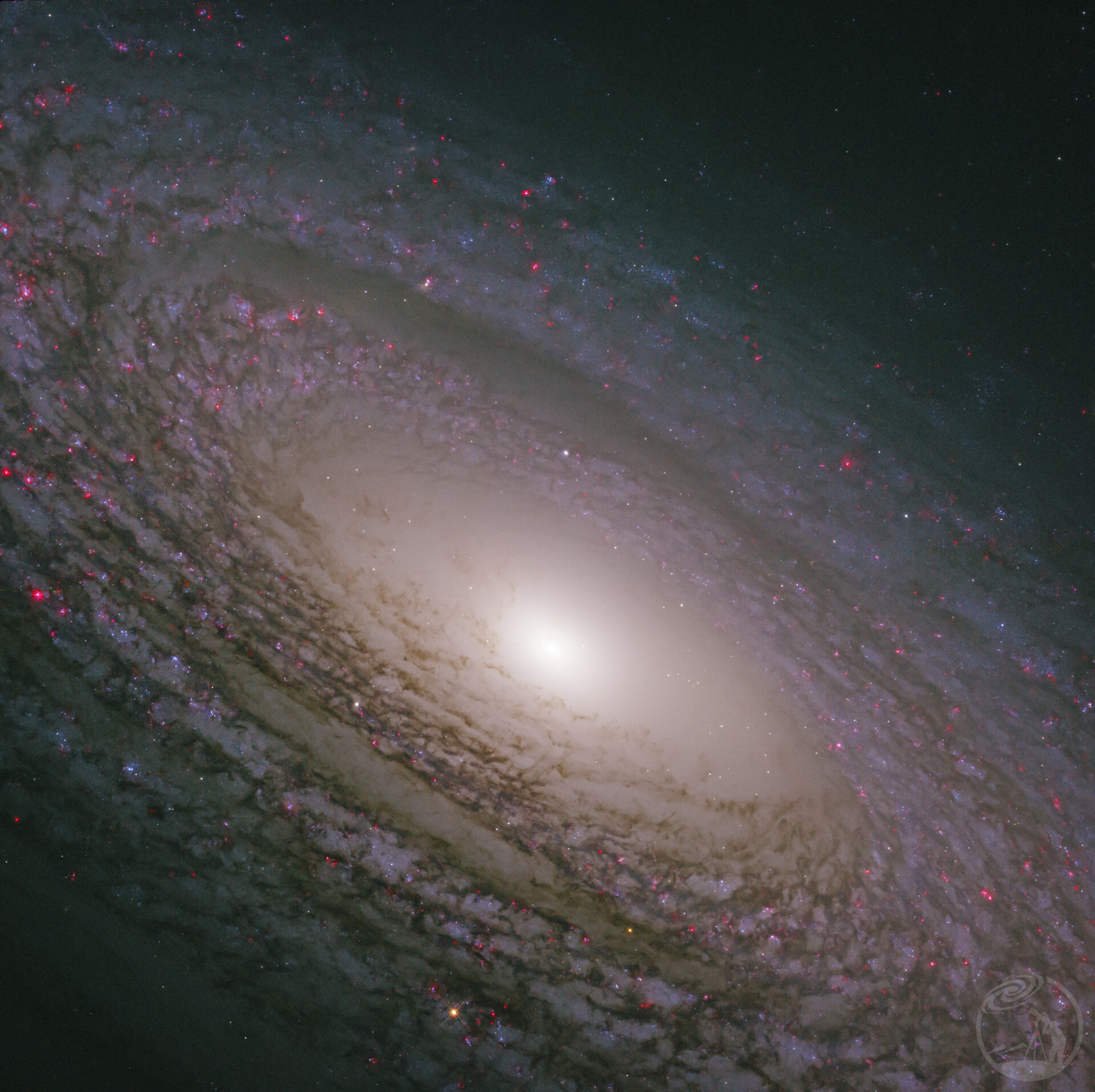 星城 NGC 2841