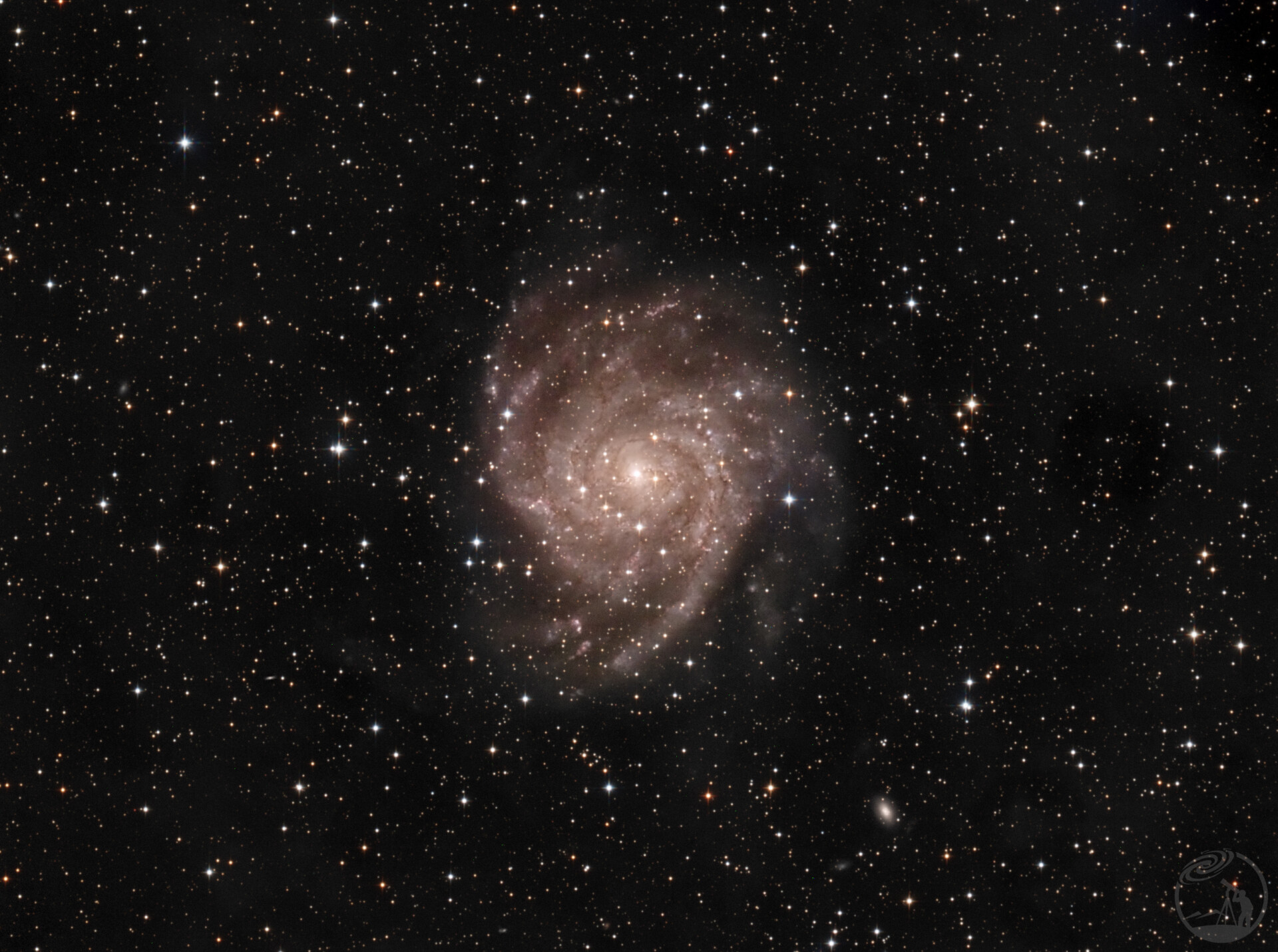 IC 342