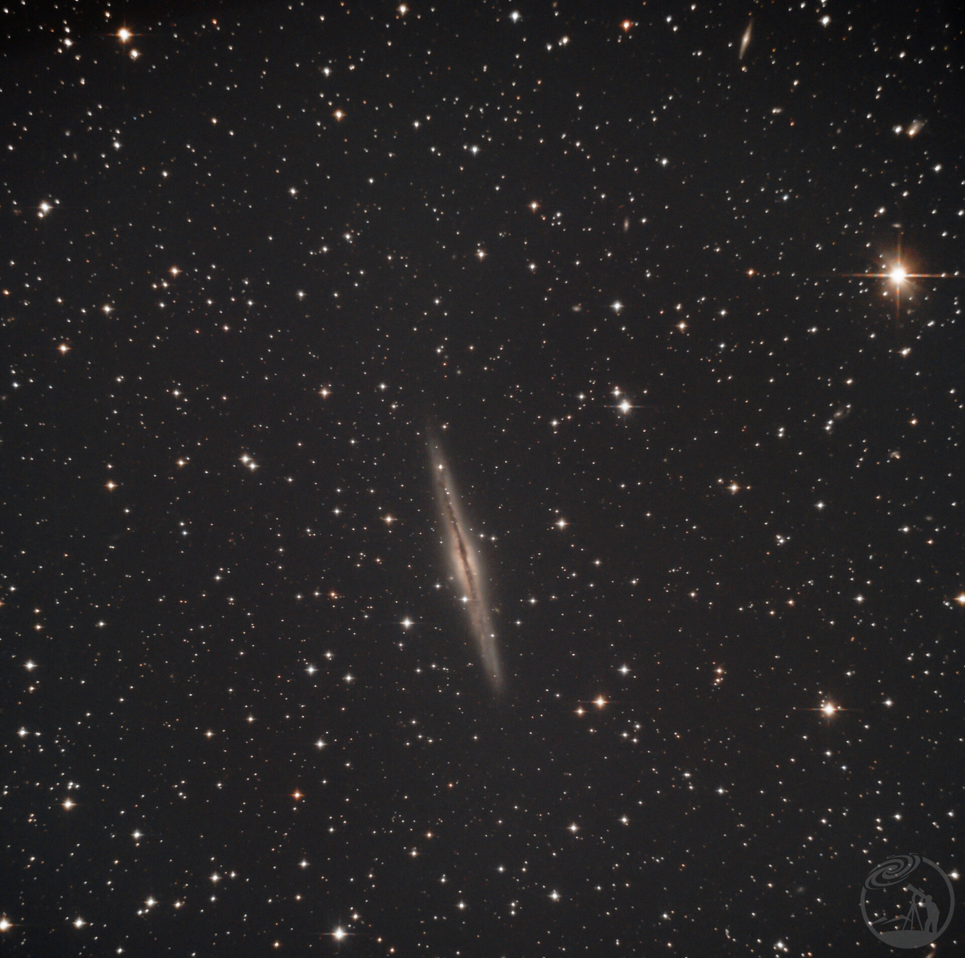 ngc891