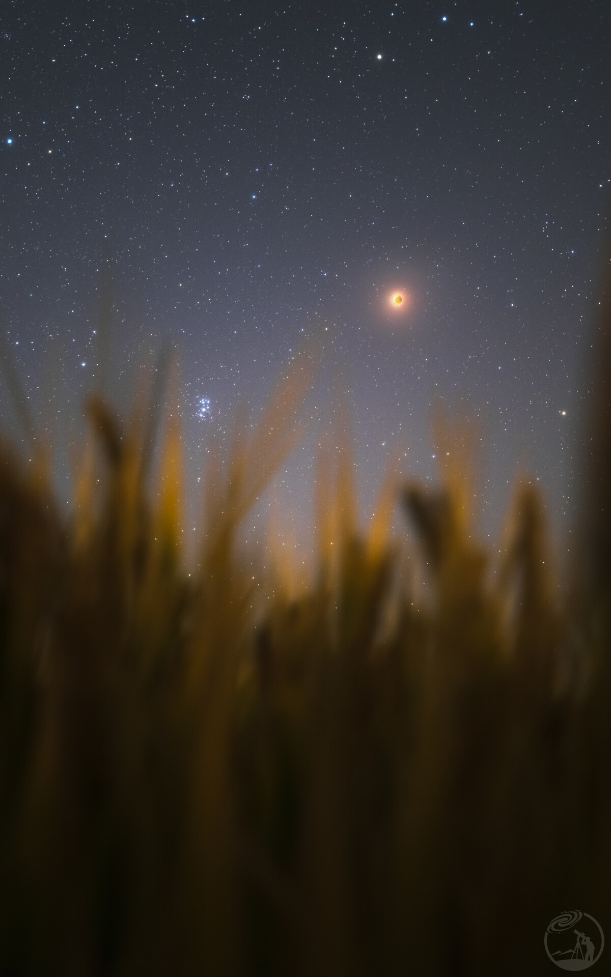 血月与七姊妹星团