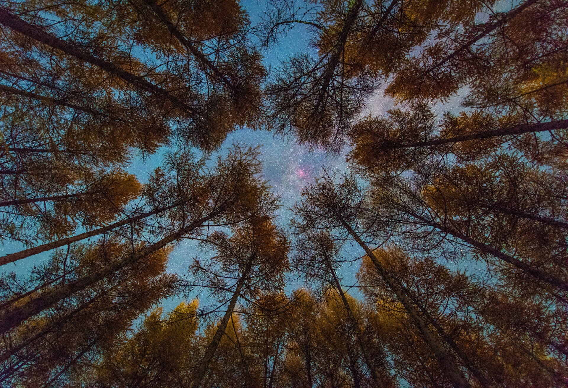 秋意星空