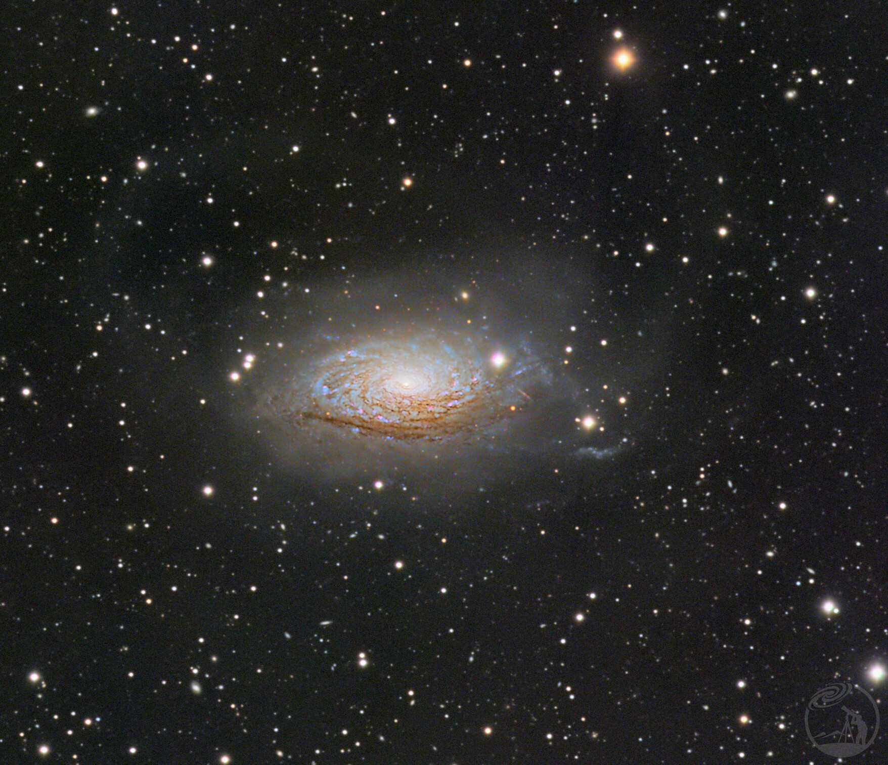 M63