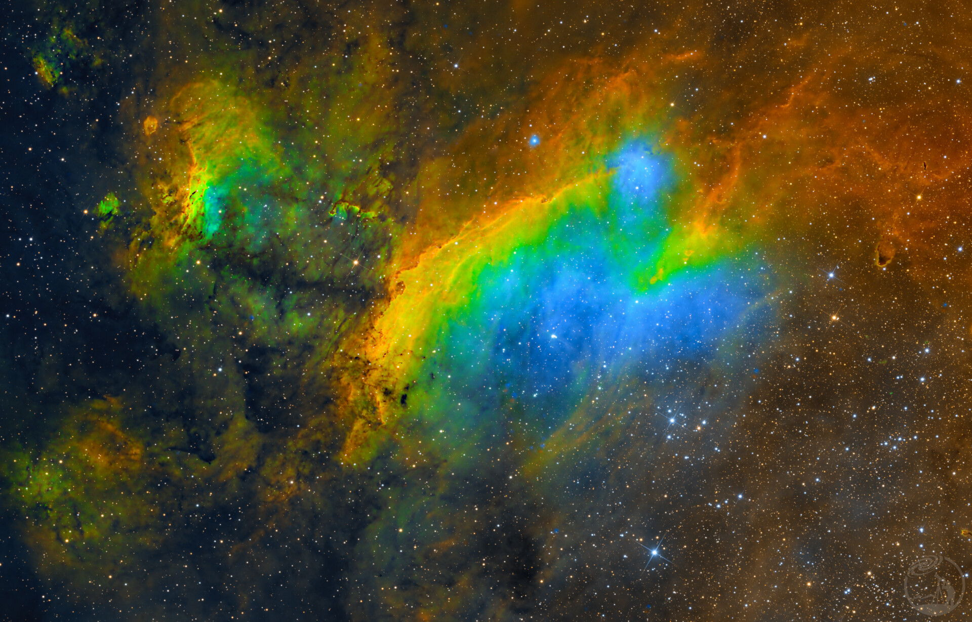 斑节虾星云
