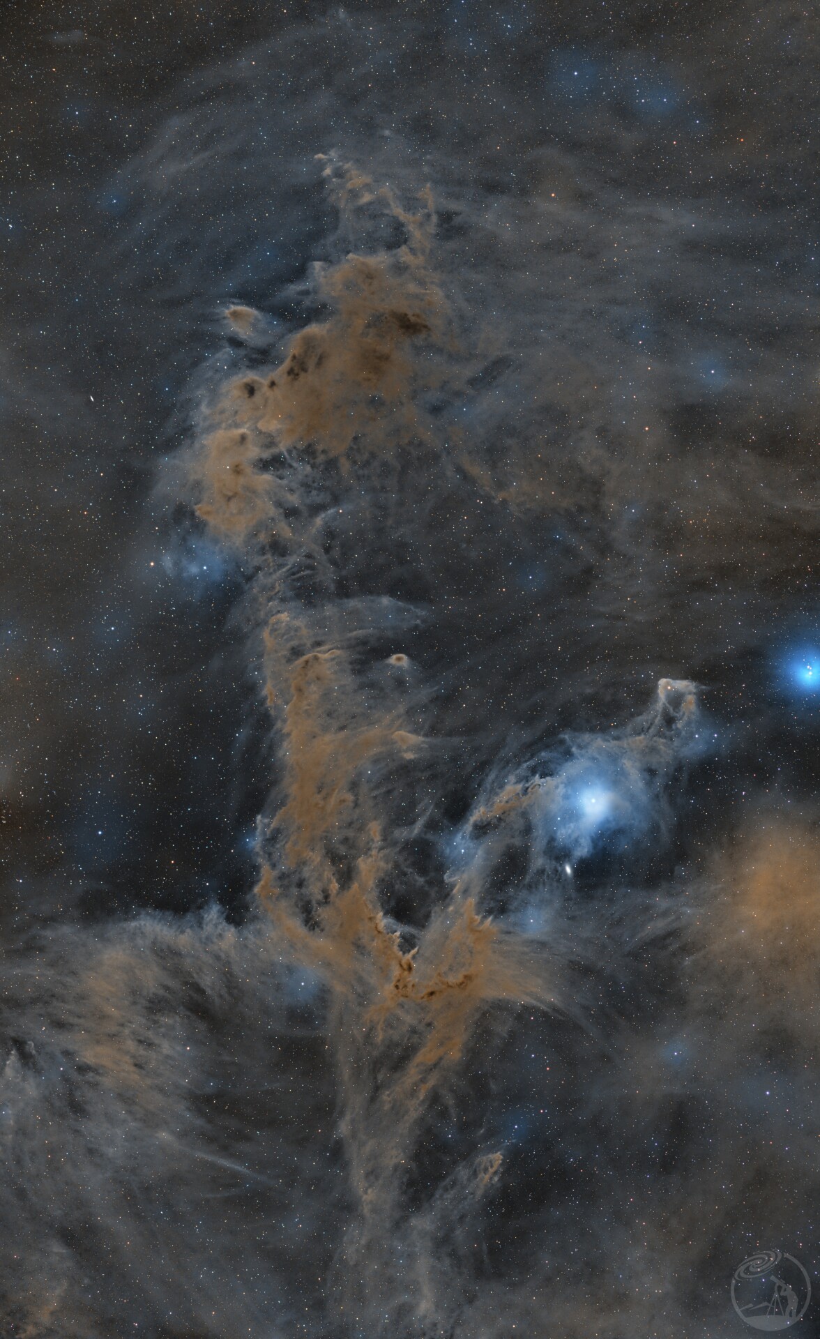 Dark  Nebula Complex in Chamaeleon