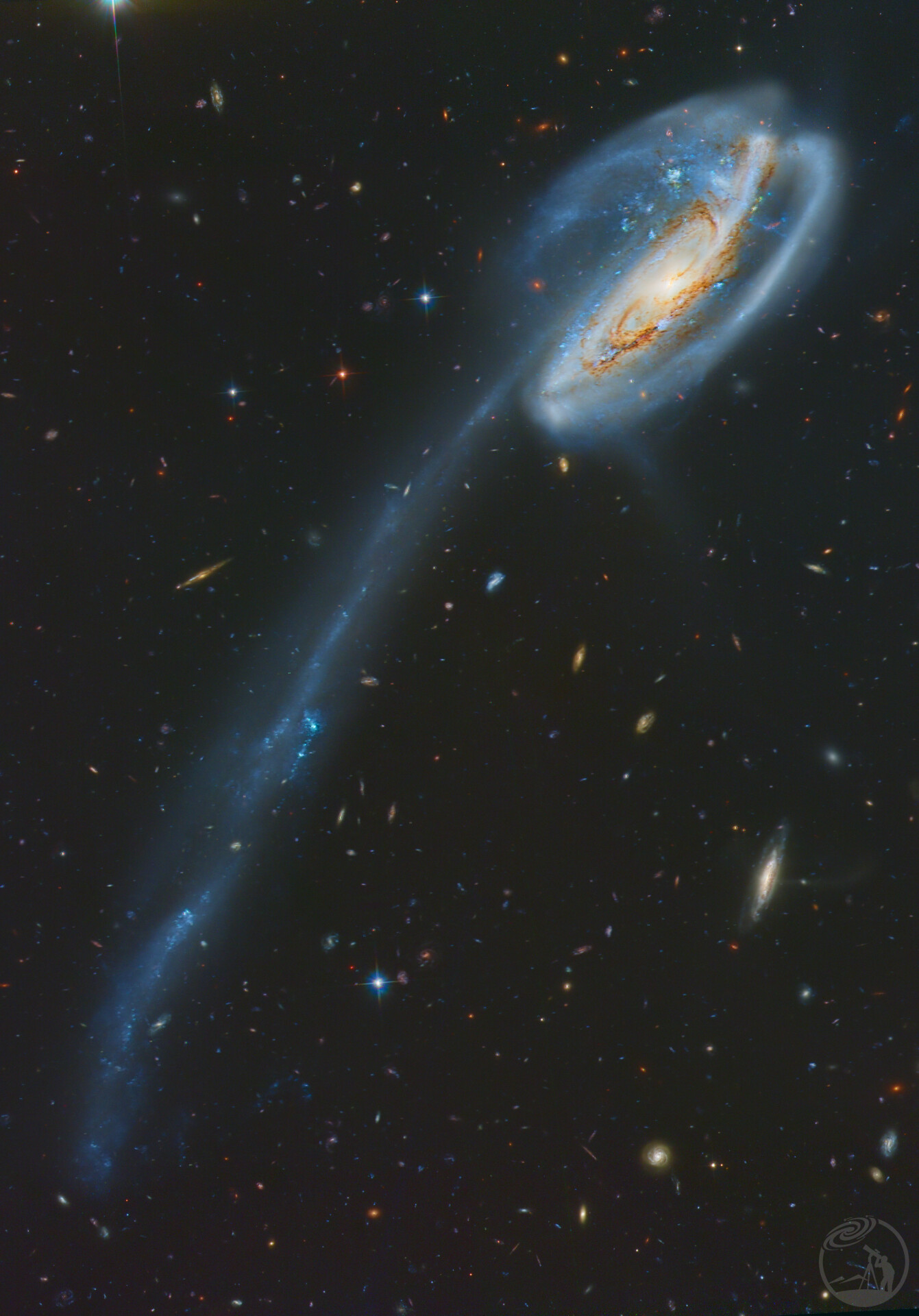 ARP188