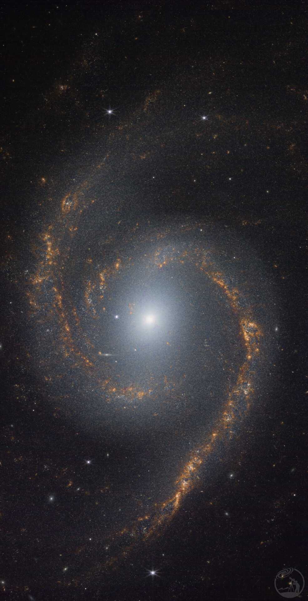 NGC1566
