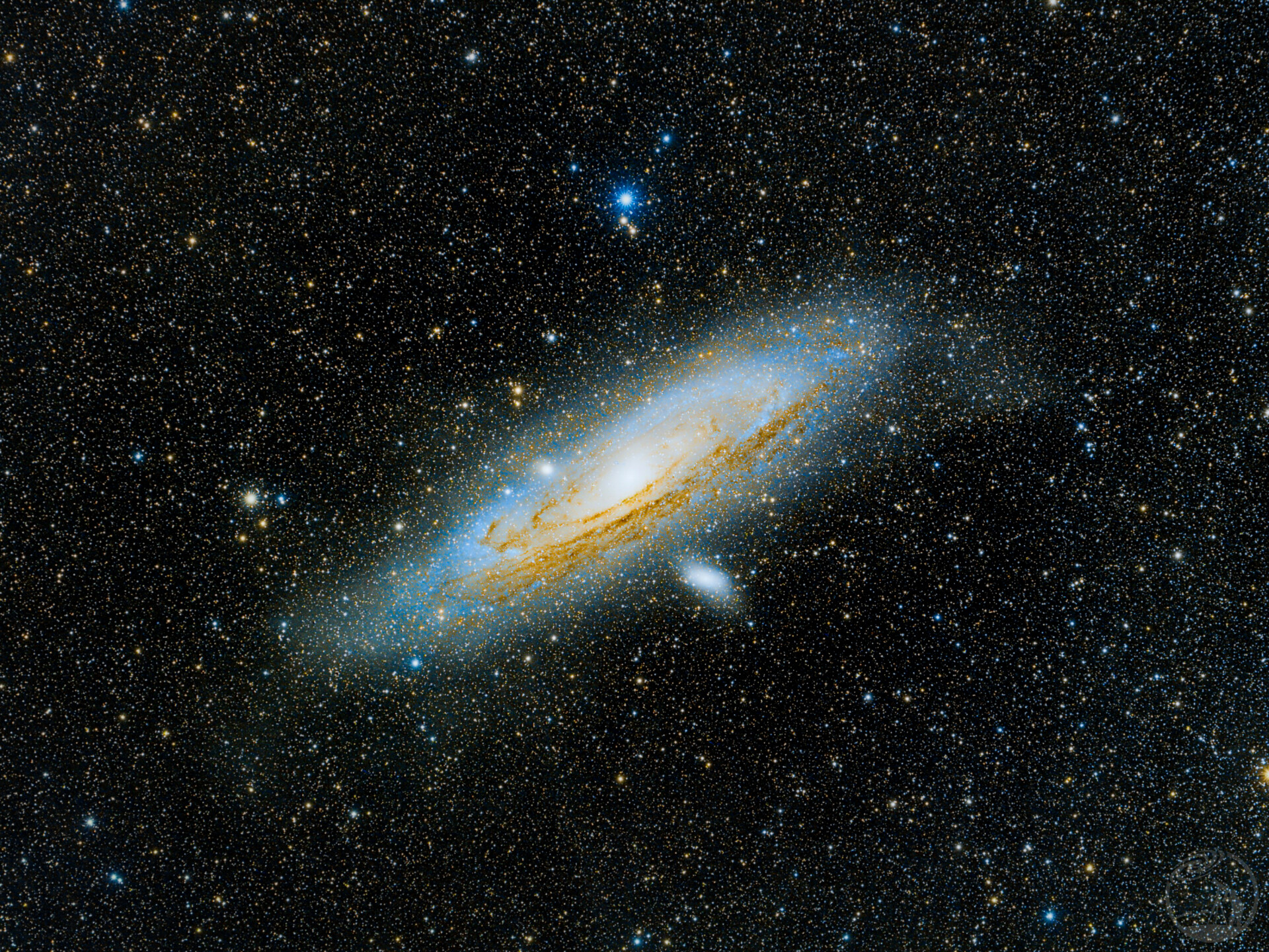 M31