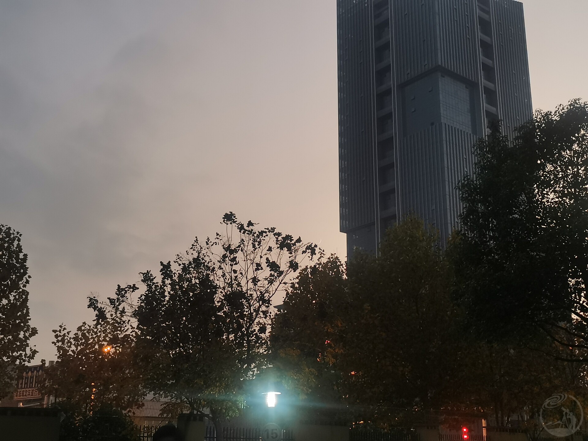 树梢之月