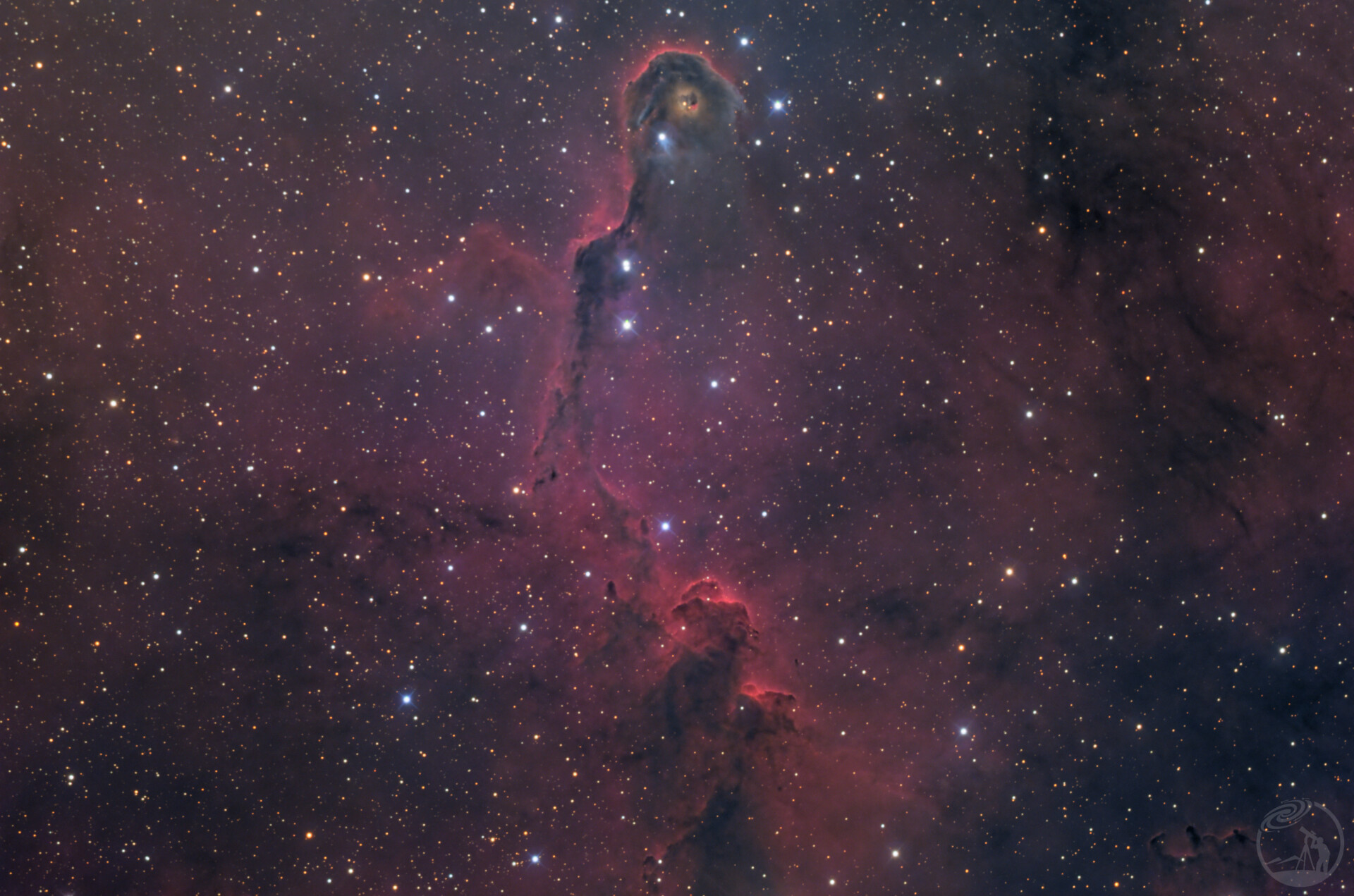 IC1396