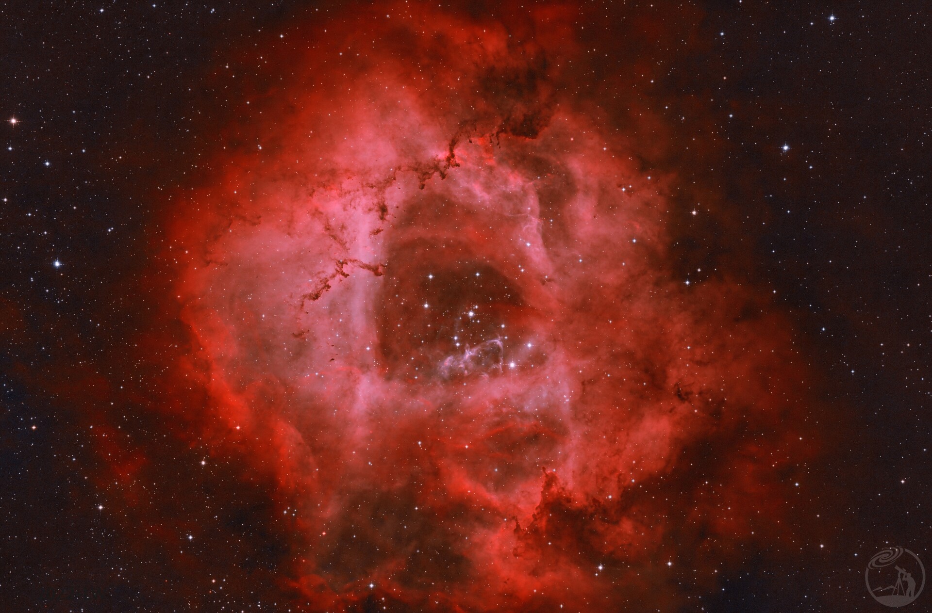 NGC2237🌹 