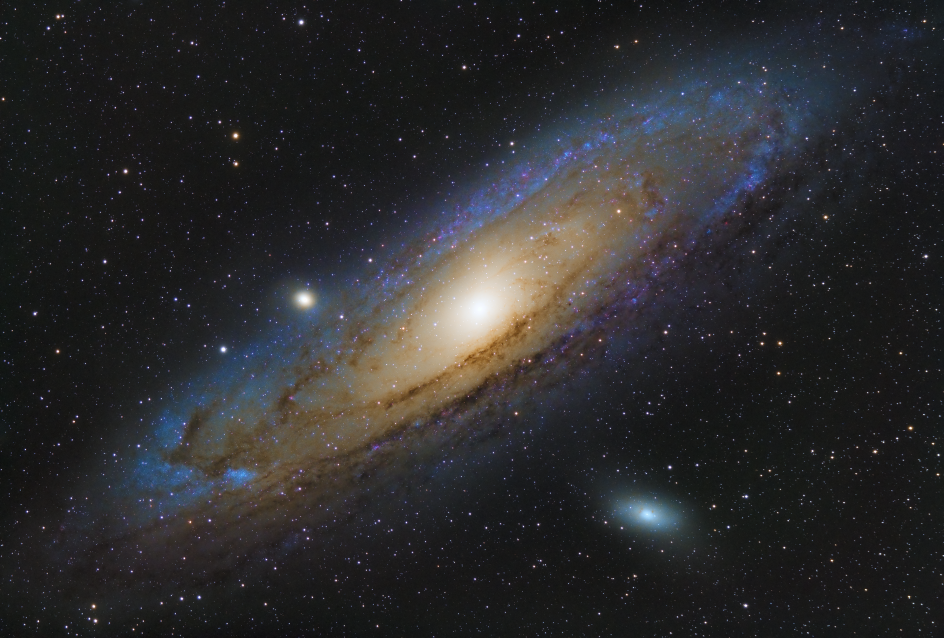 M31