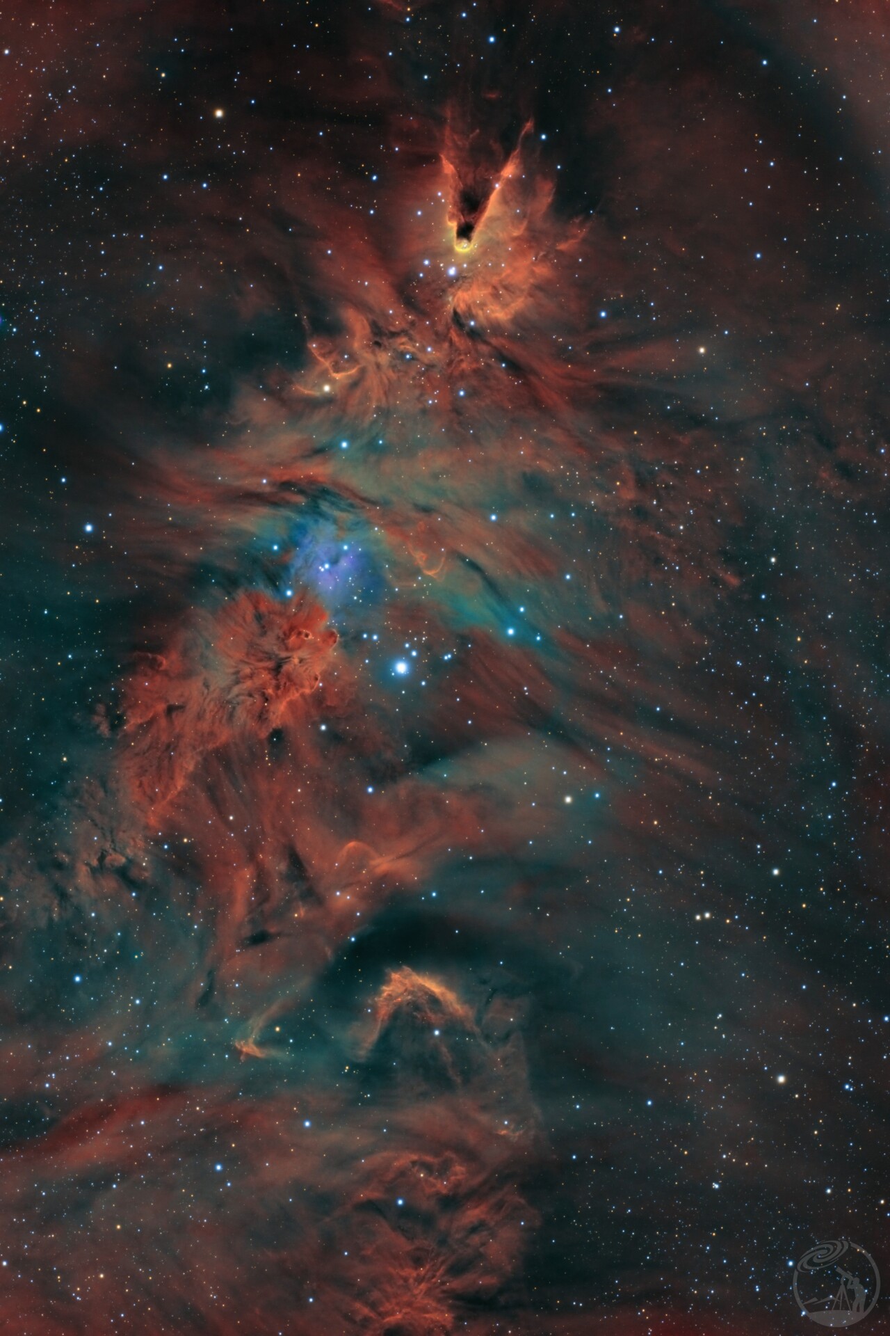 圣诞树星云