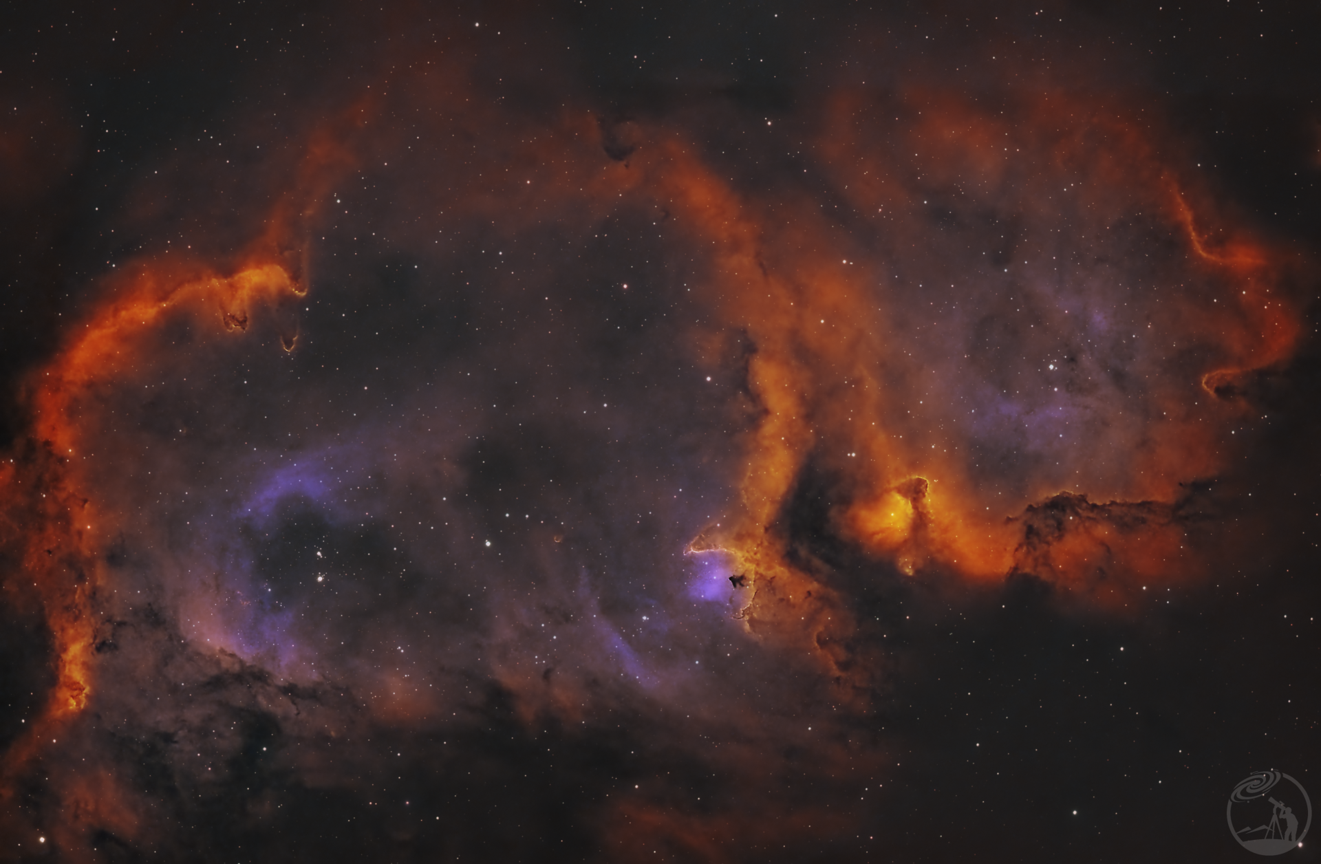 ic1848