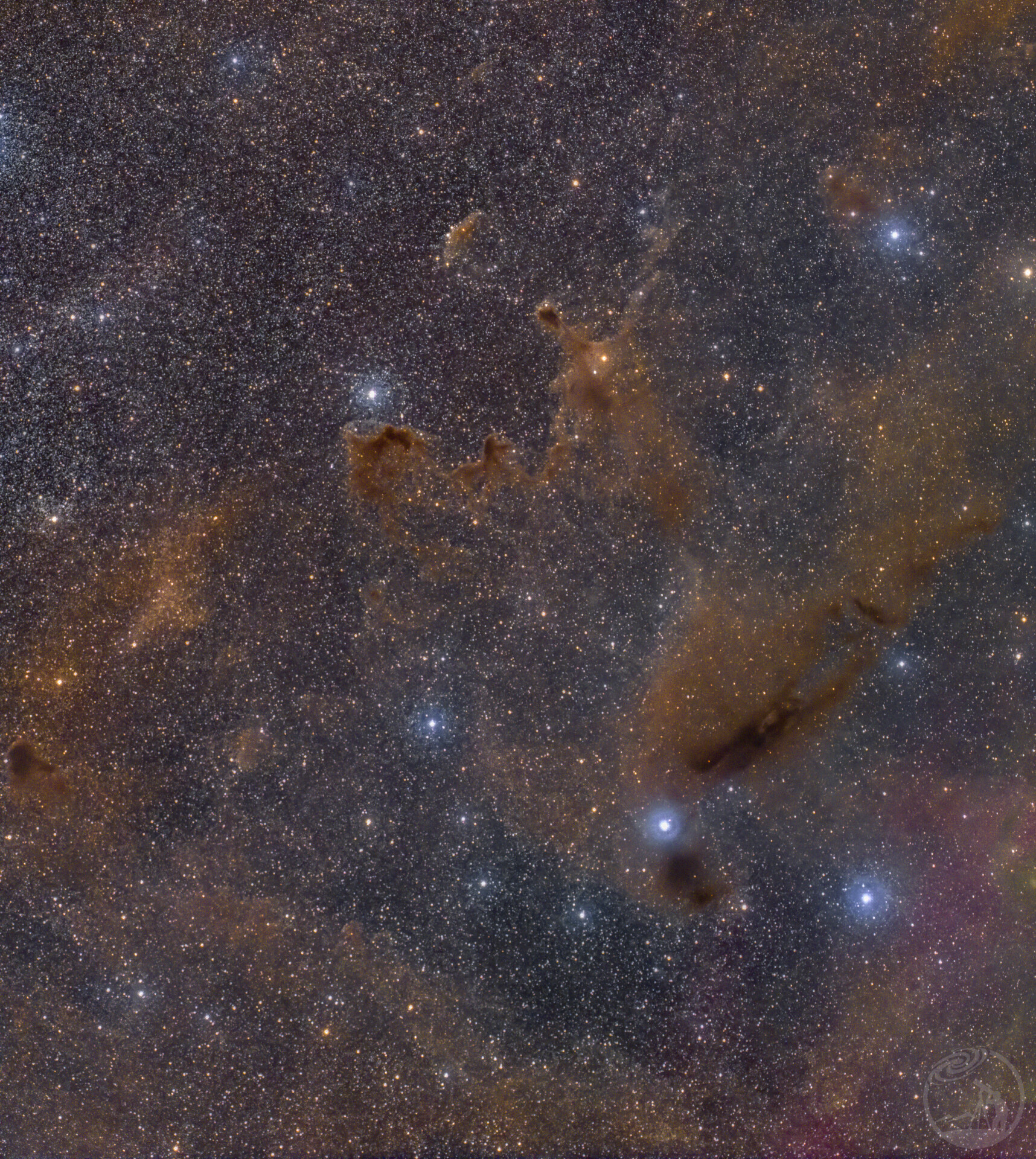 Dark Nebula LDN146
