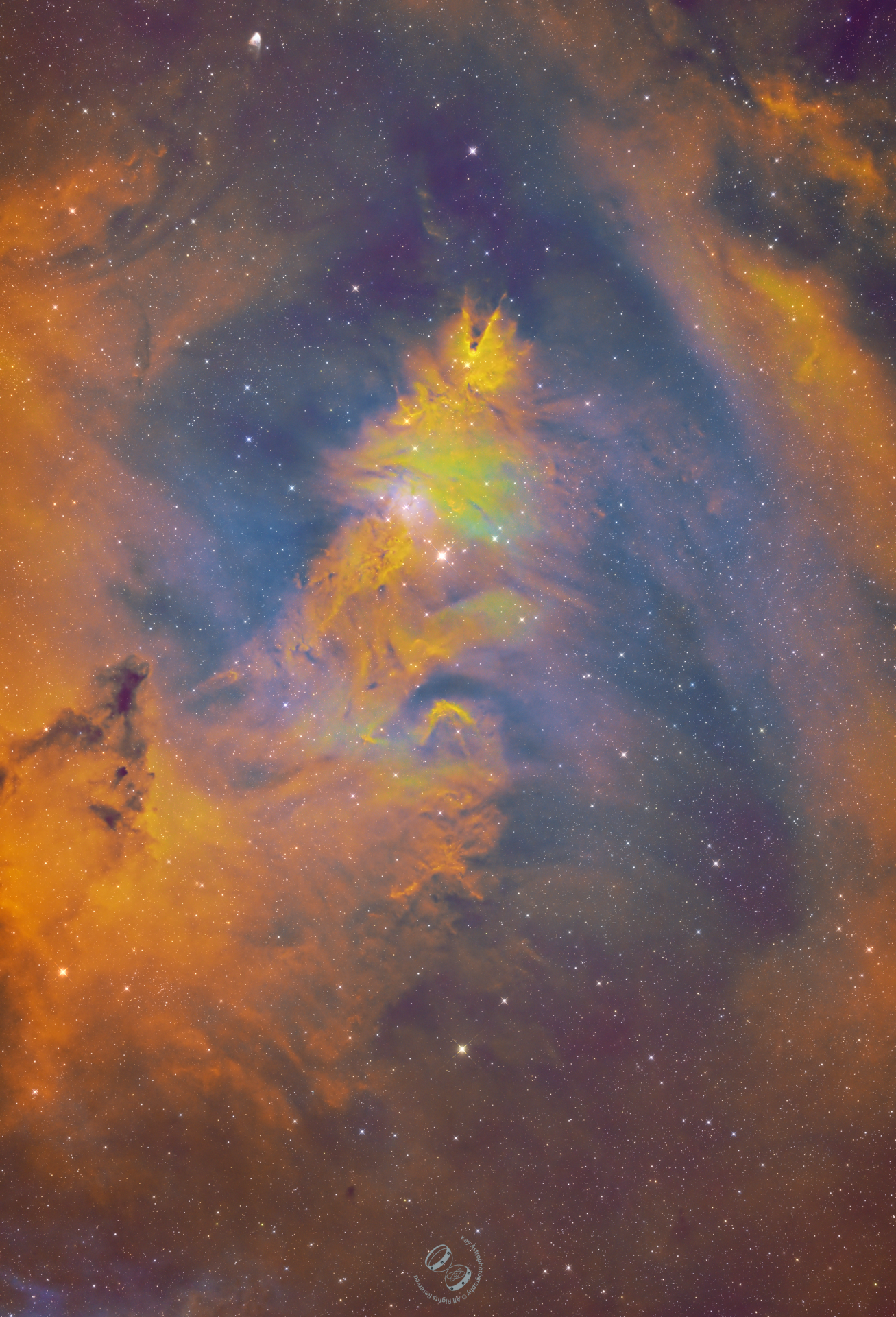 NGC2264