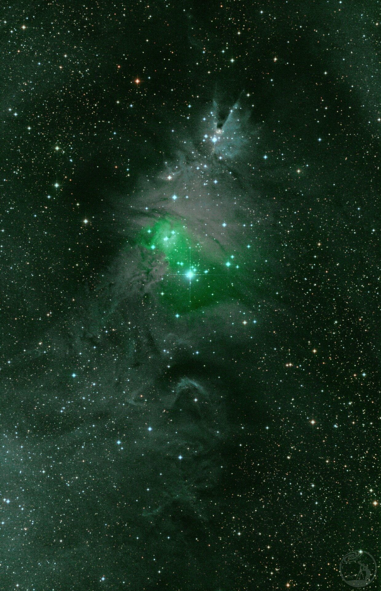 ngc2264圣诞树星云