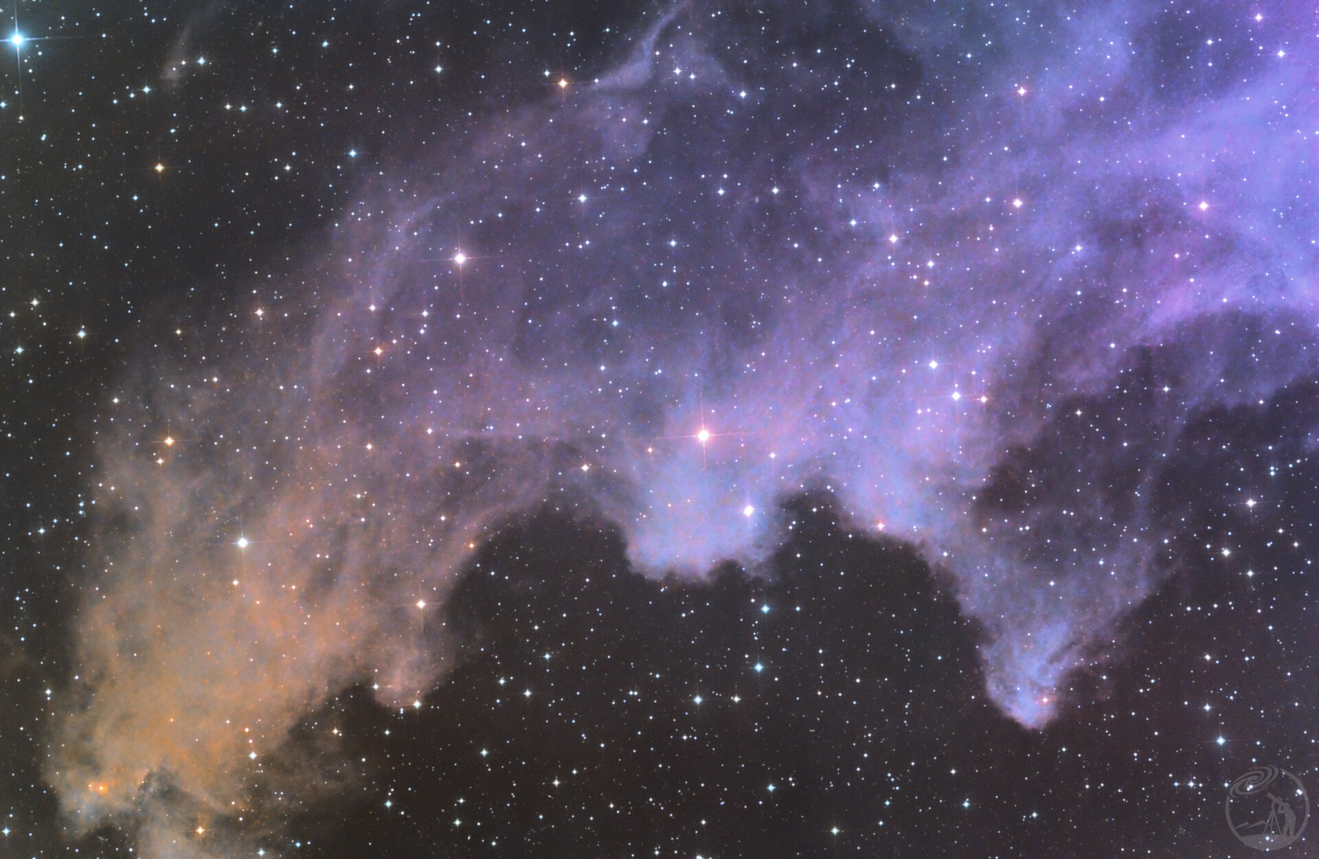 IC2118/女巫星云