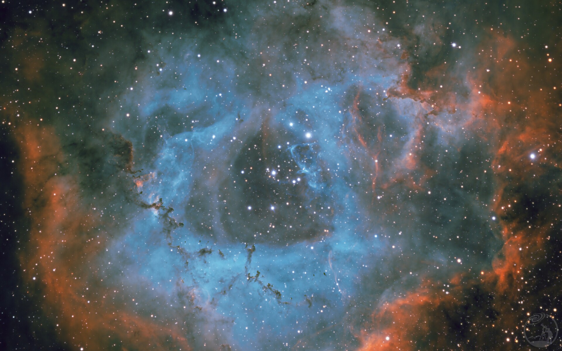 半拉NGC2244