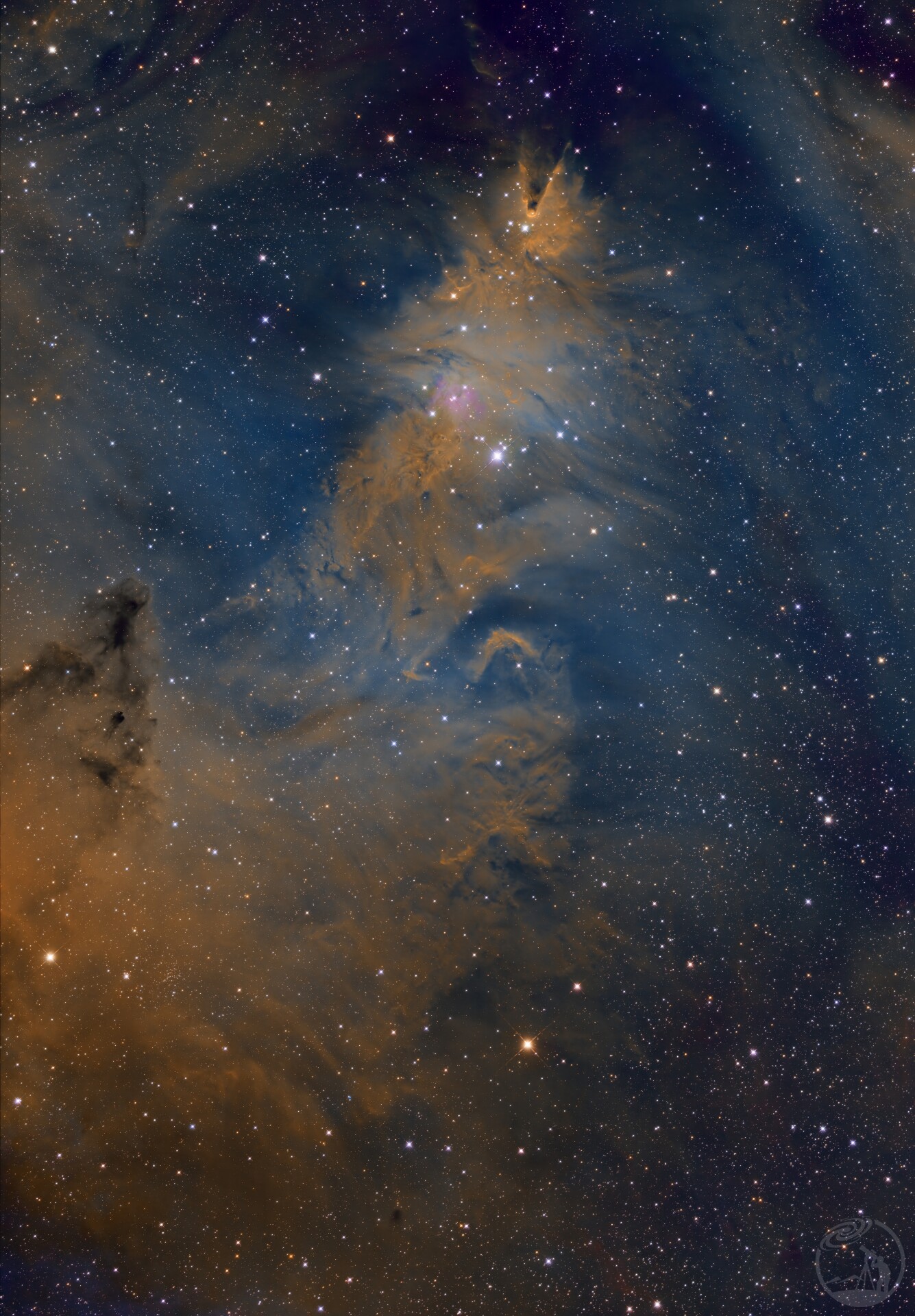 NGC 2264 圣诞树星云