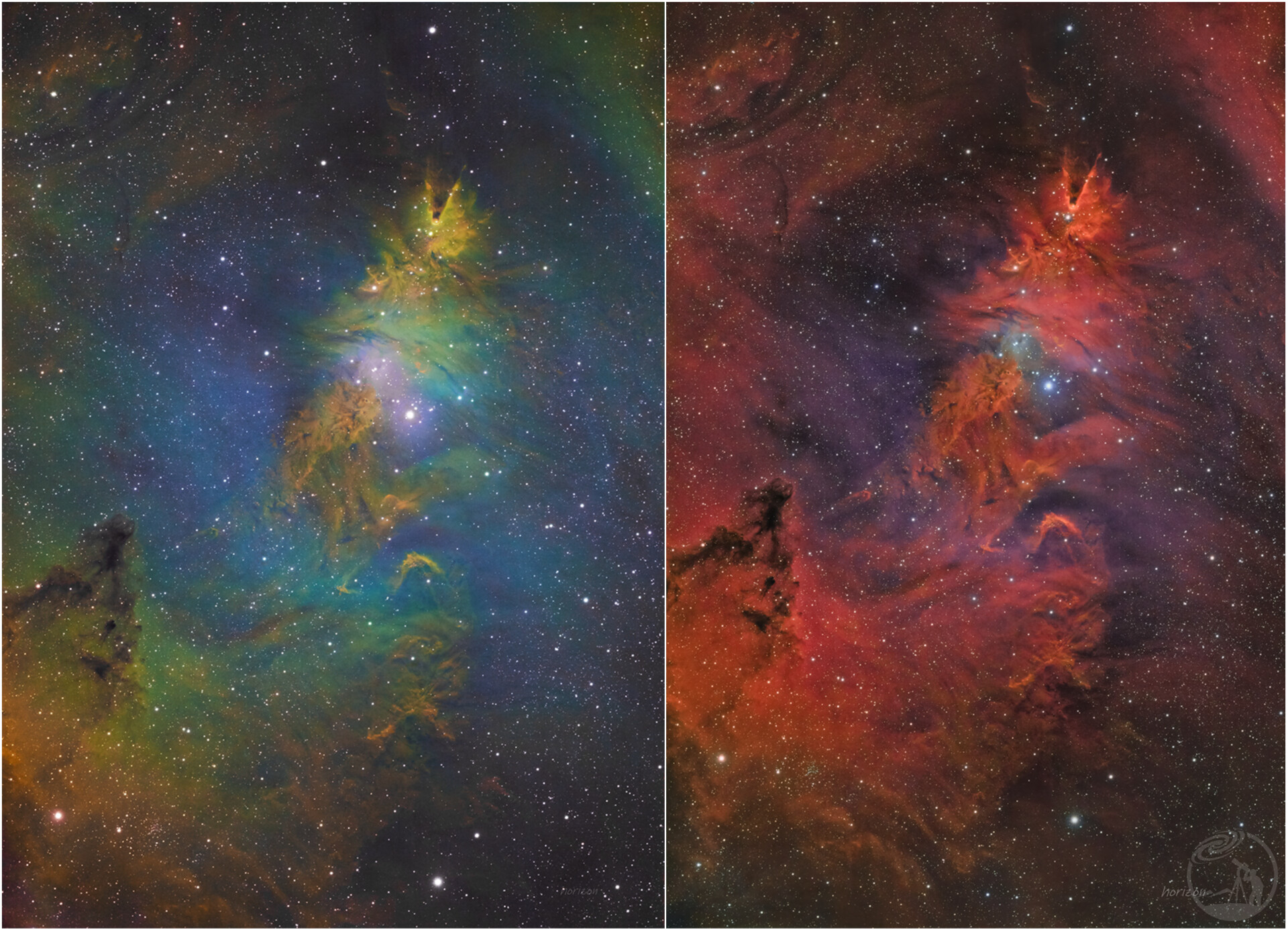 圣诞树星团
