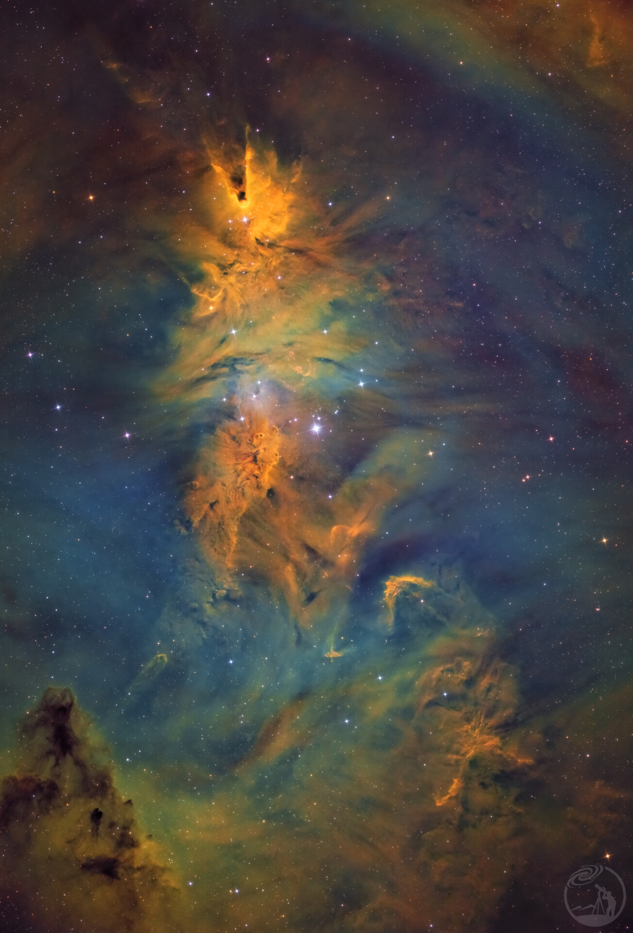 NGC2264圣诞树星云🎄